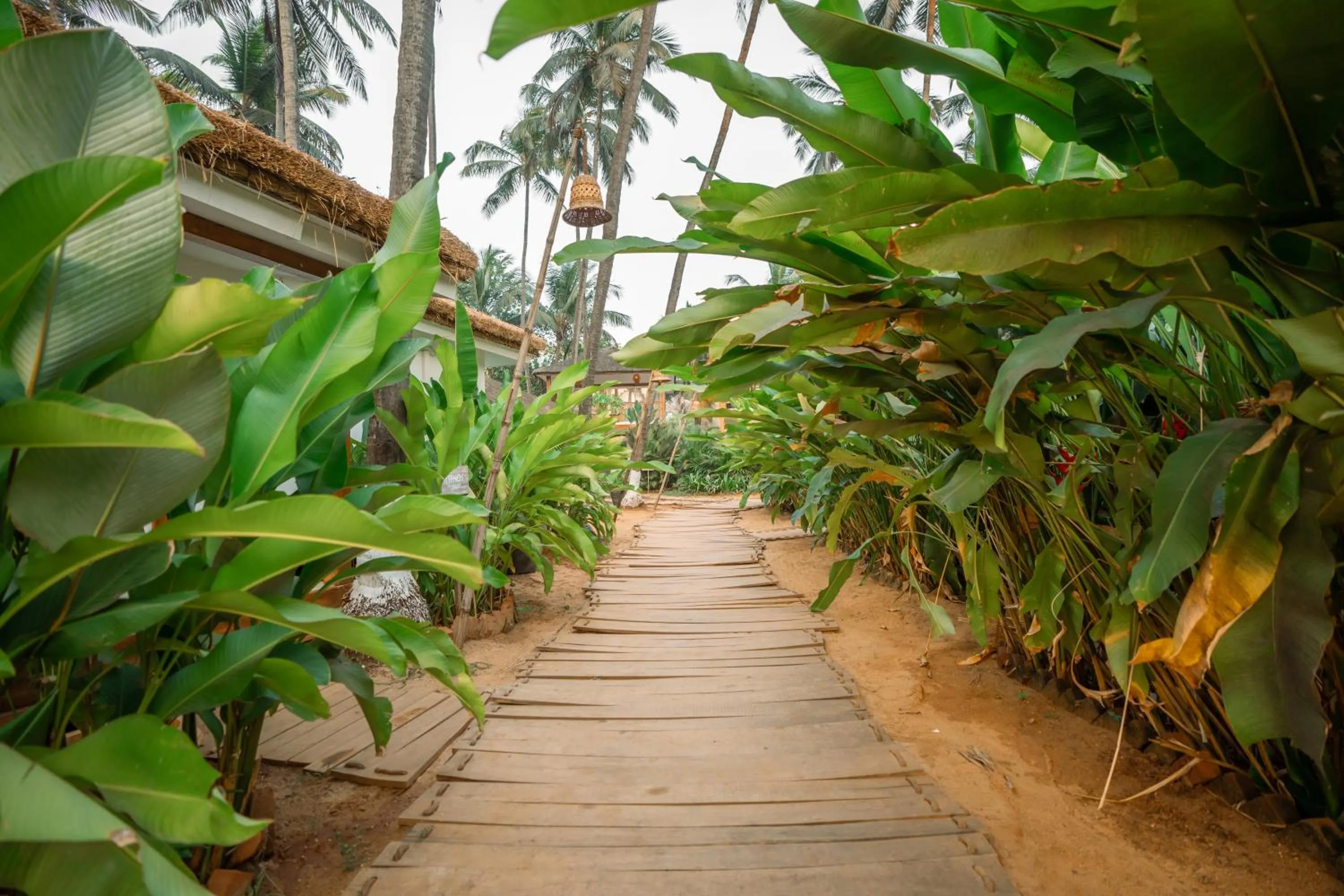 Garden in Thalassa Beach Boutique Resort