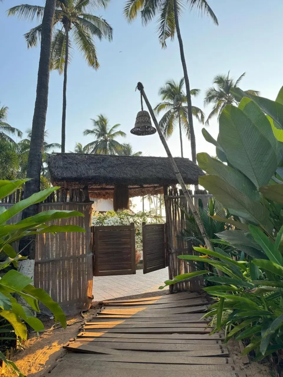 Garden view in Thalassa Beach Boutique Resort Garden view in Thalassa Beach Boutique Resort