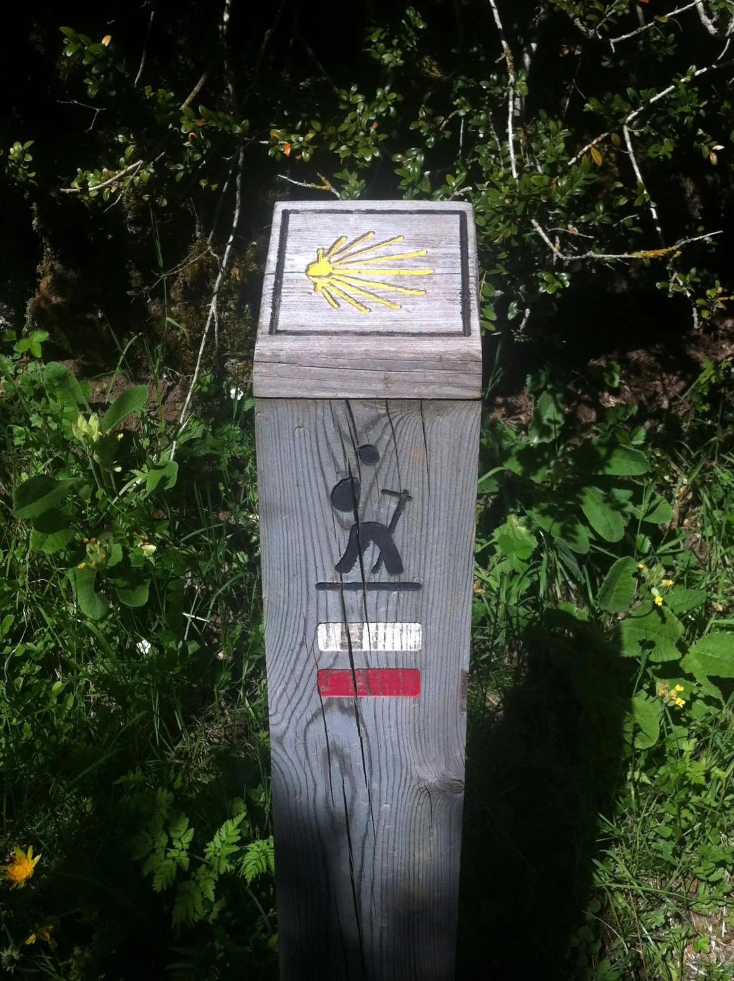 Other in Hotel Santa Cristina Petit Spa