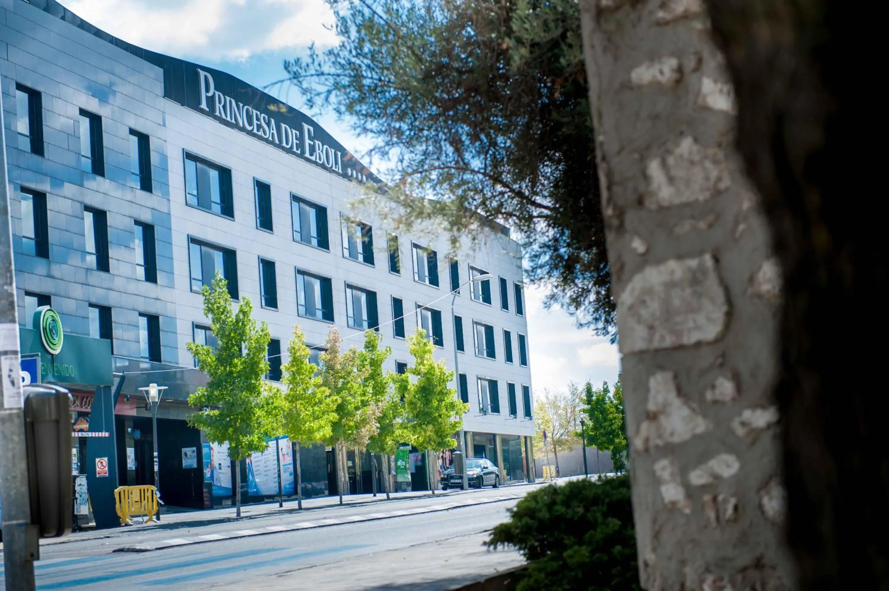 Property building in Sercotel Princesa De Eboli