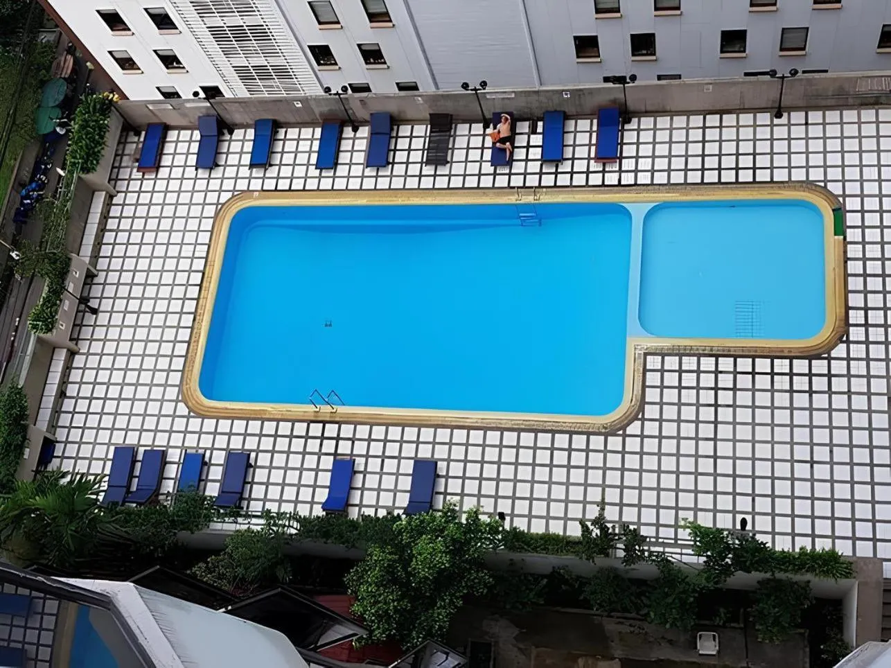 Swimming pool in Omni Tower Direct Rooms - Apartments, Sukhumvit Soi 4