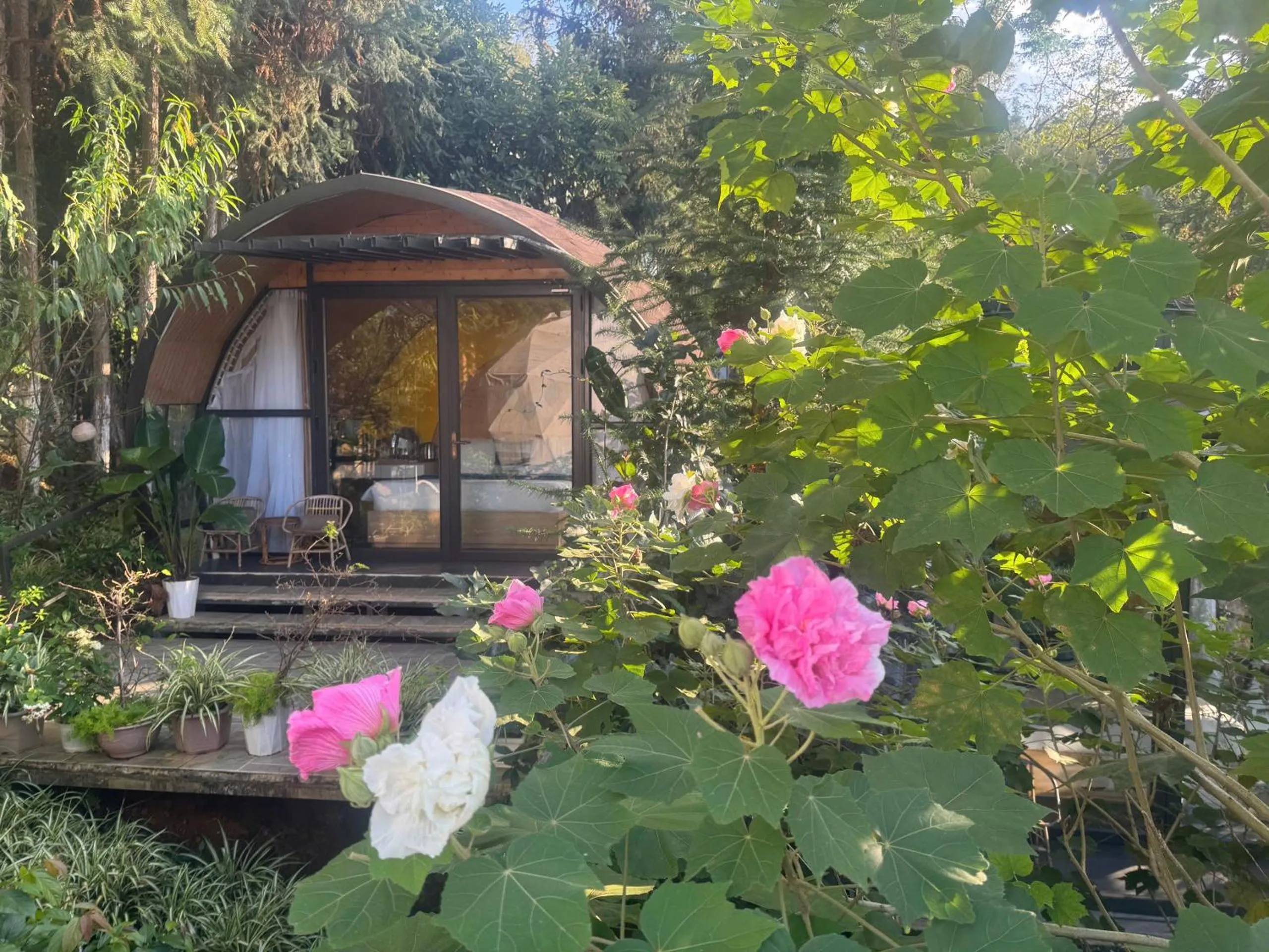 Property building in Plum Homestay Đồng Văn