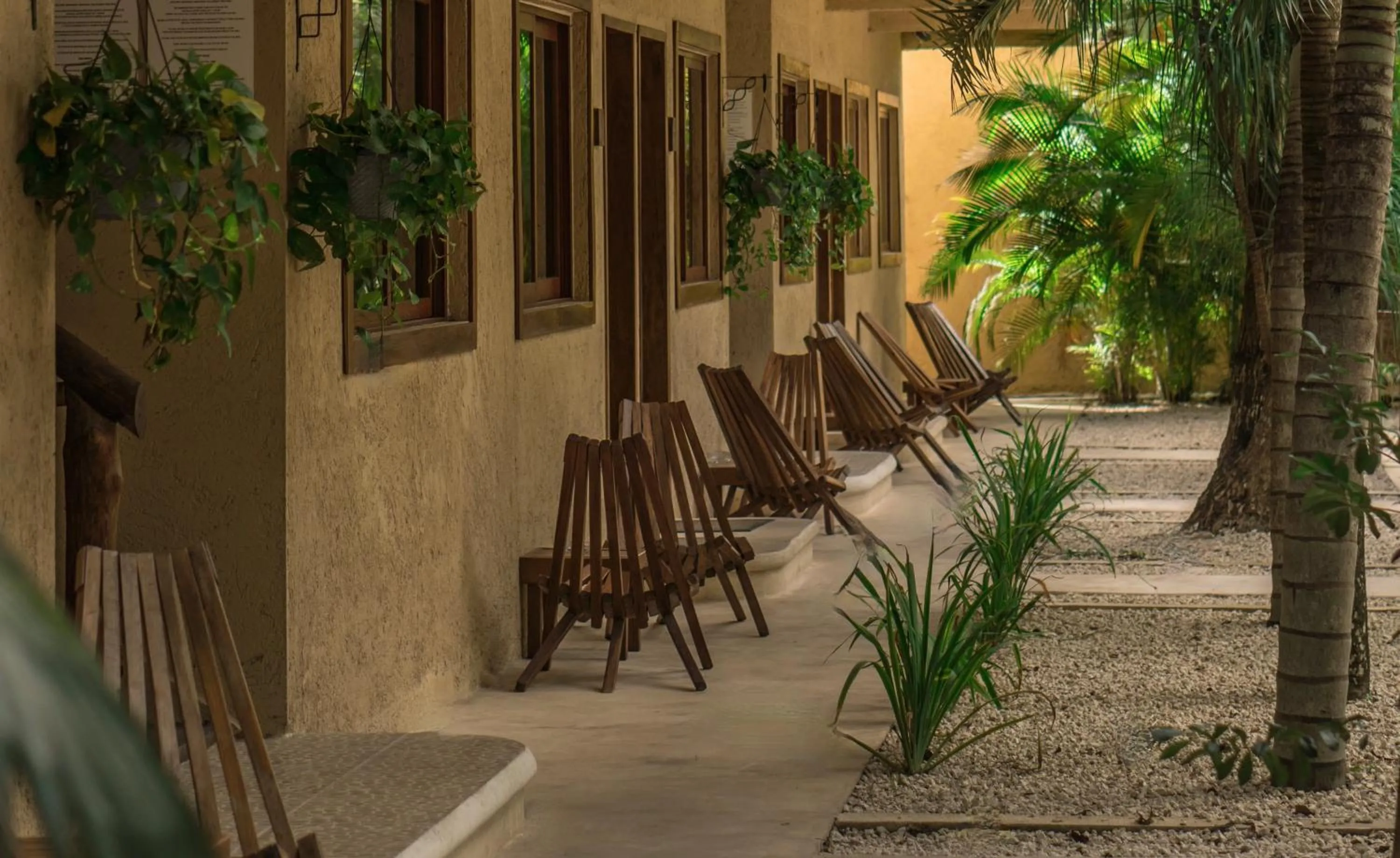 Spring in Aldea Xaan Ha Tulum