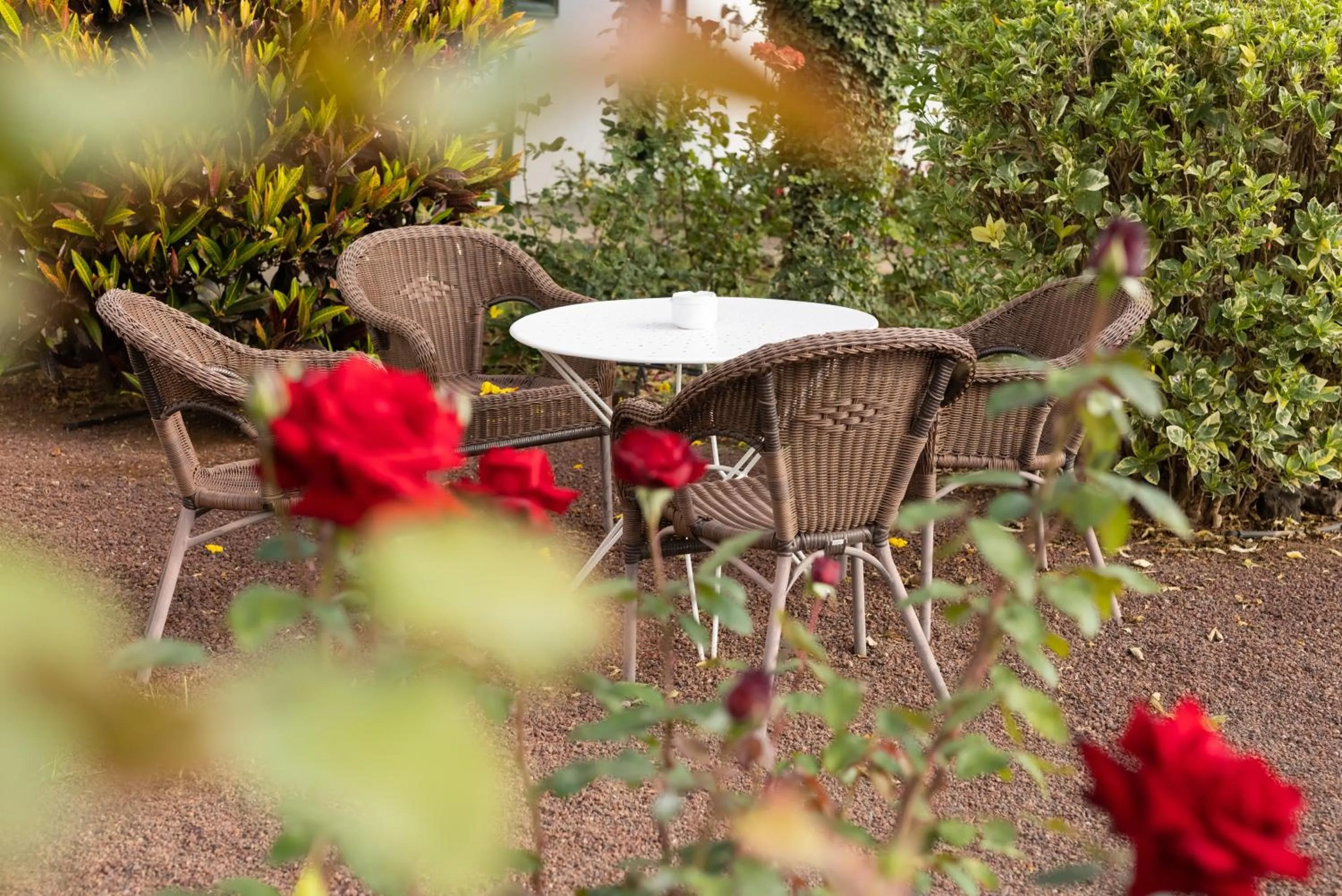 Garden in Hotel El Patio