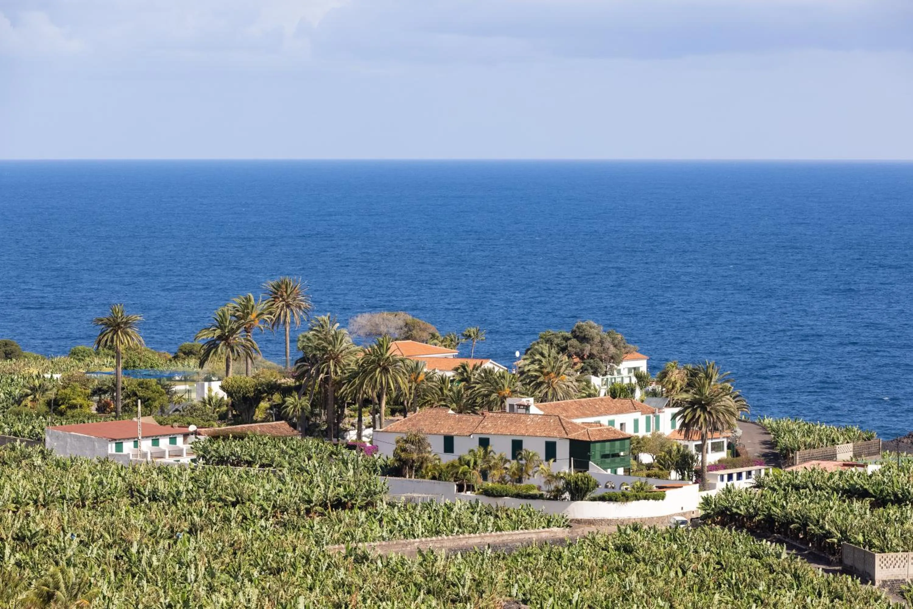 Bird's eye view in Hotel El Patio