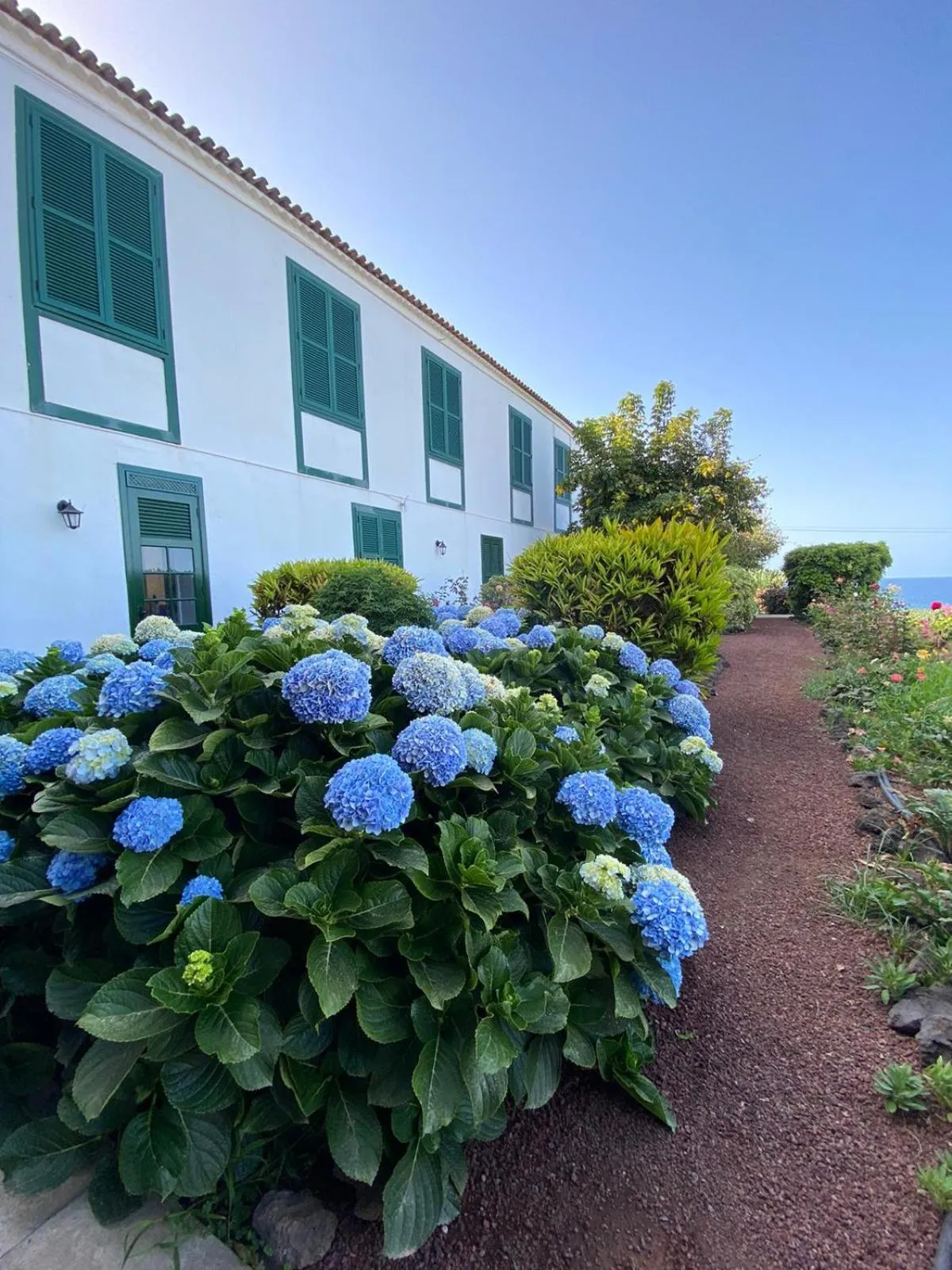 Garden in Hotel El Patio