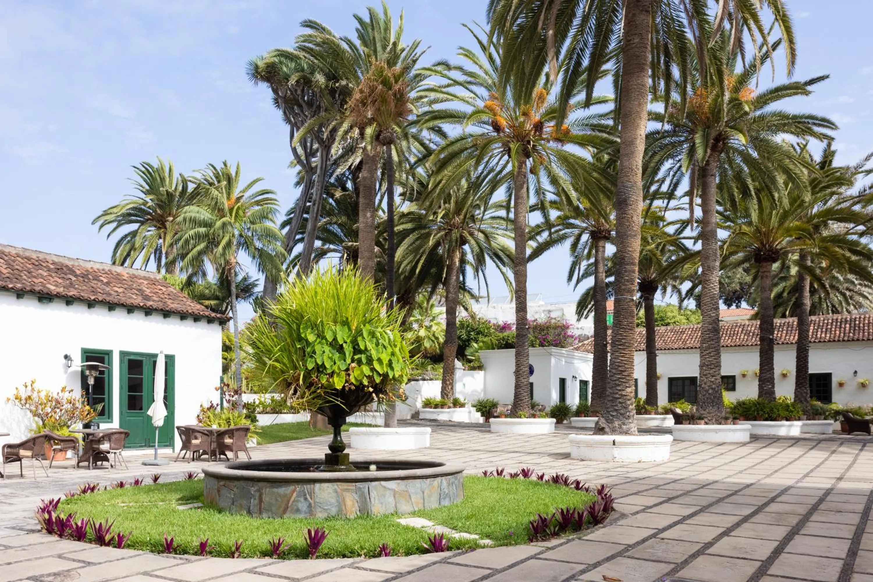Patio in Hotel El Patio
