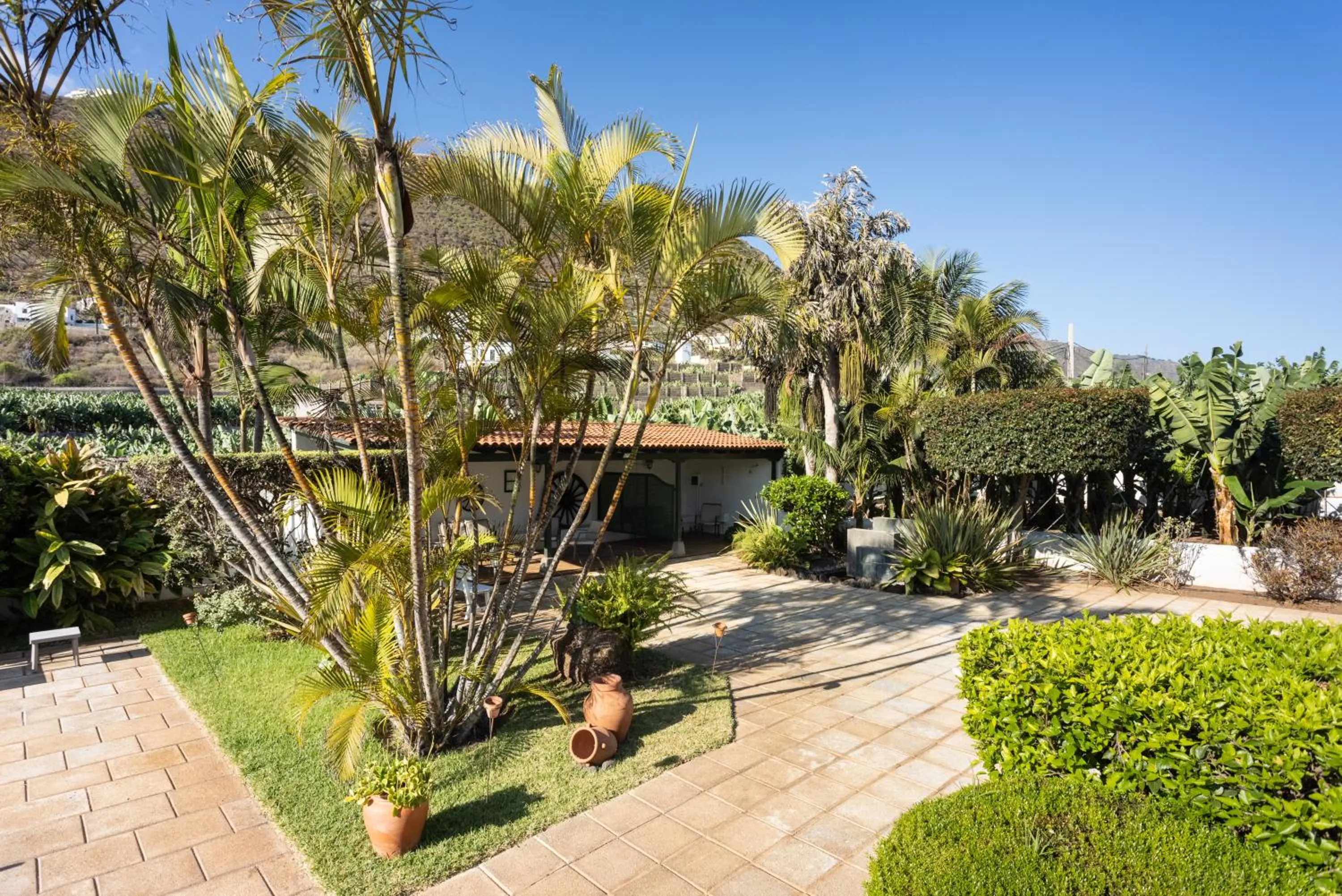 Solarium in Hotel El Patio