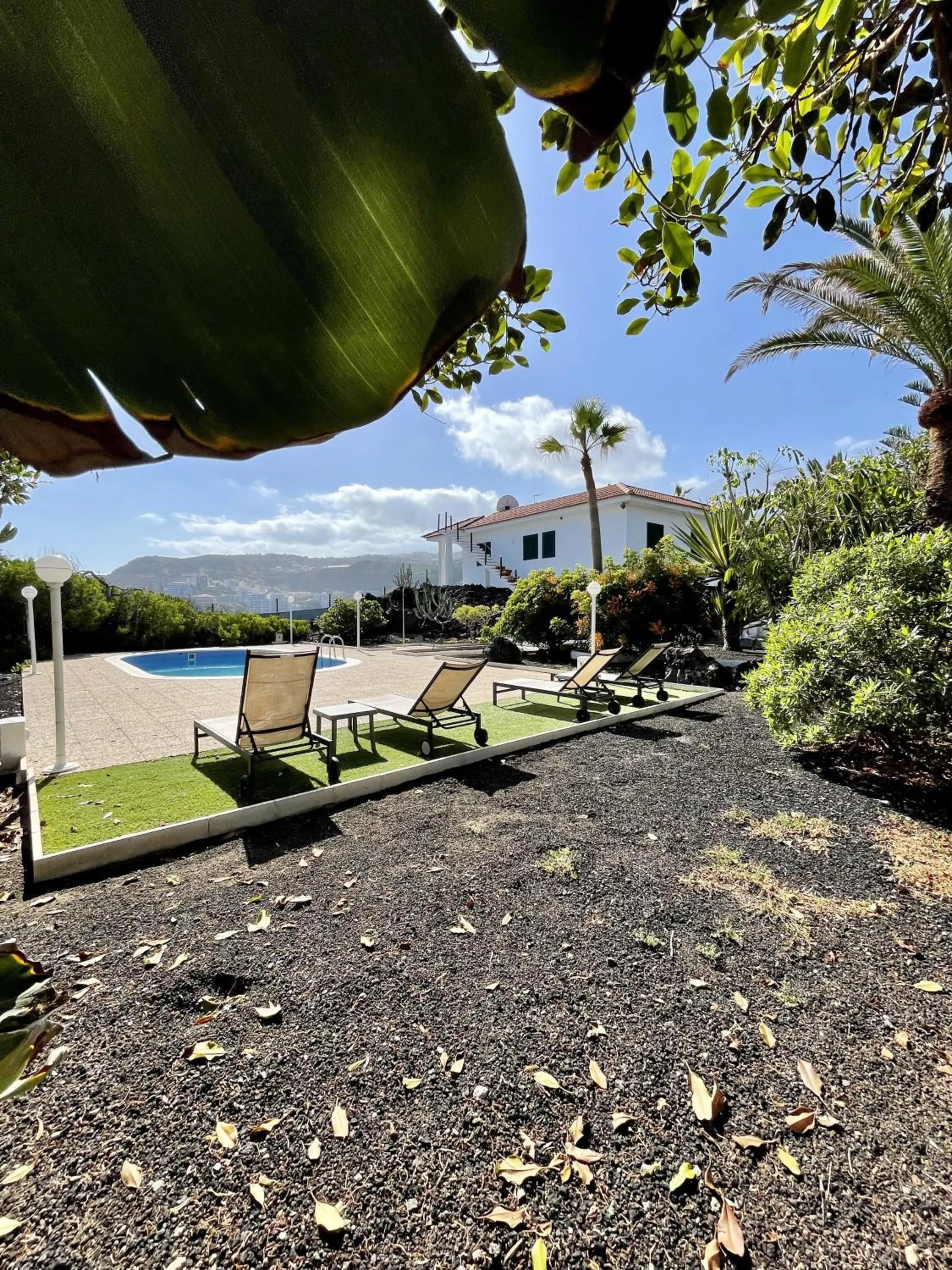 Natural landscape in Hotel El Patio