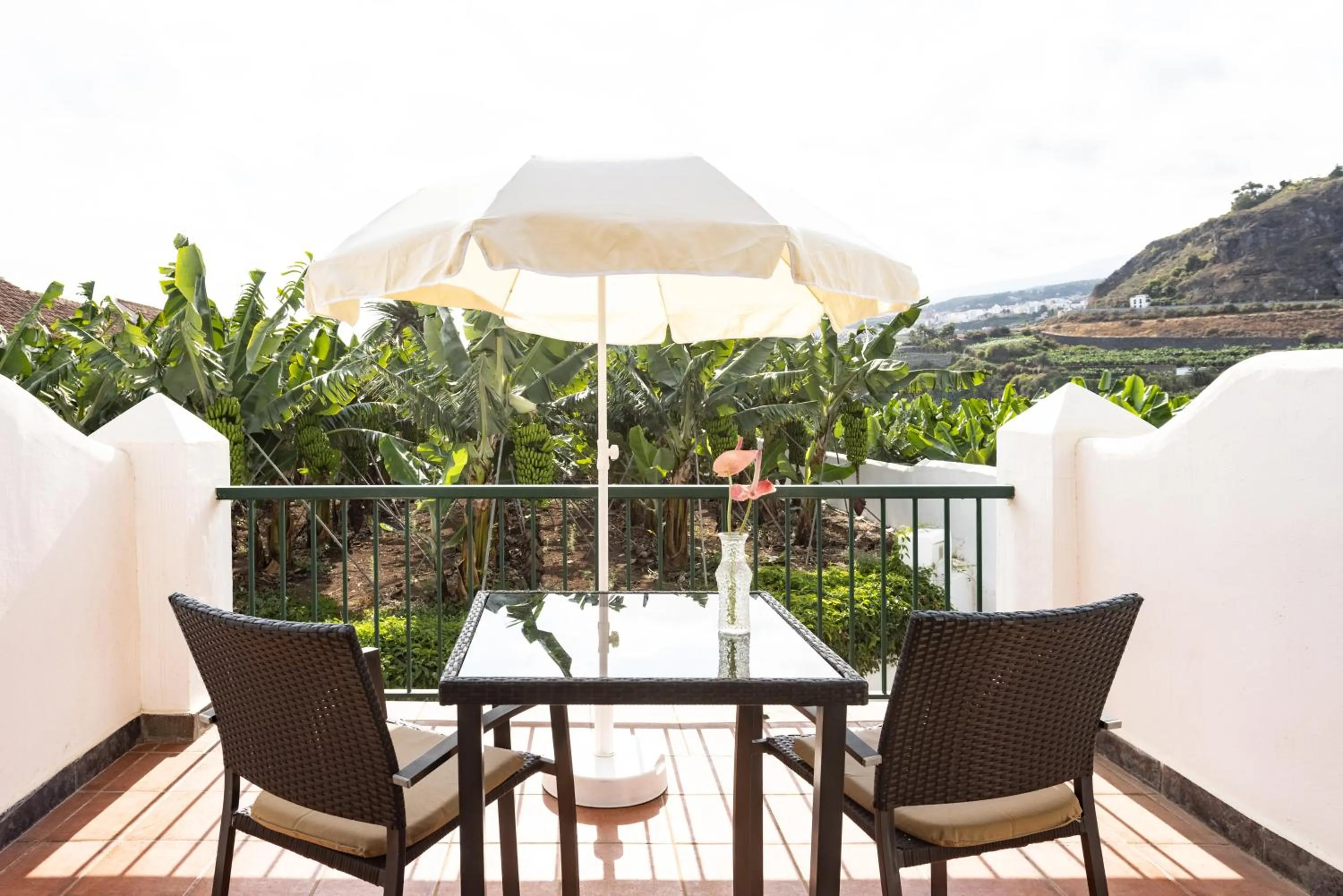 Balcony/Terrace in Hotel El Patio