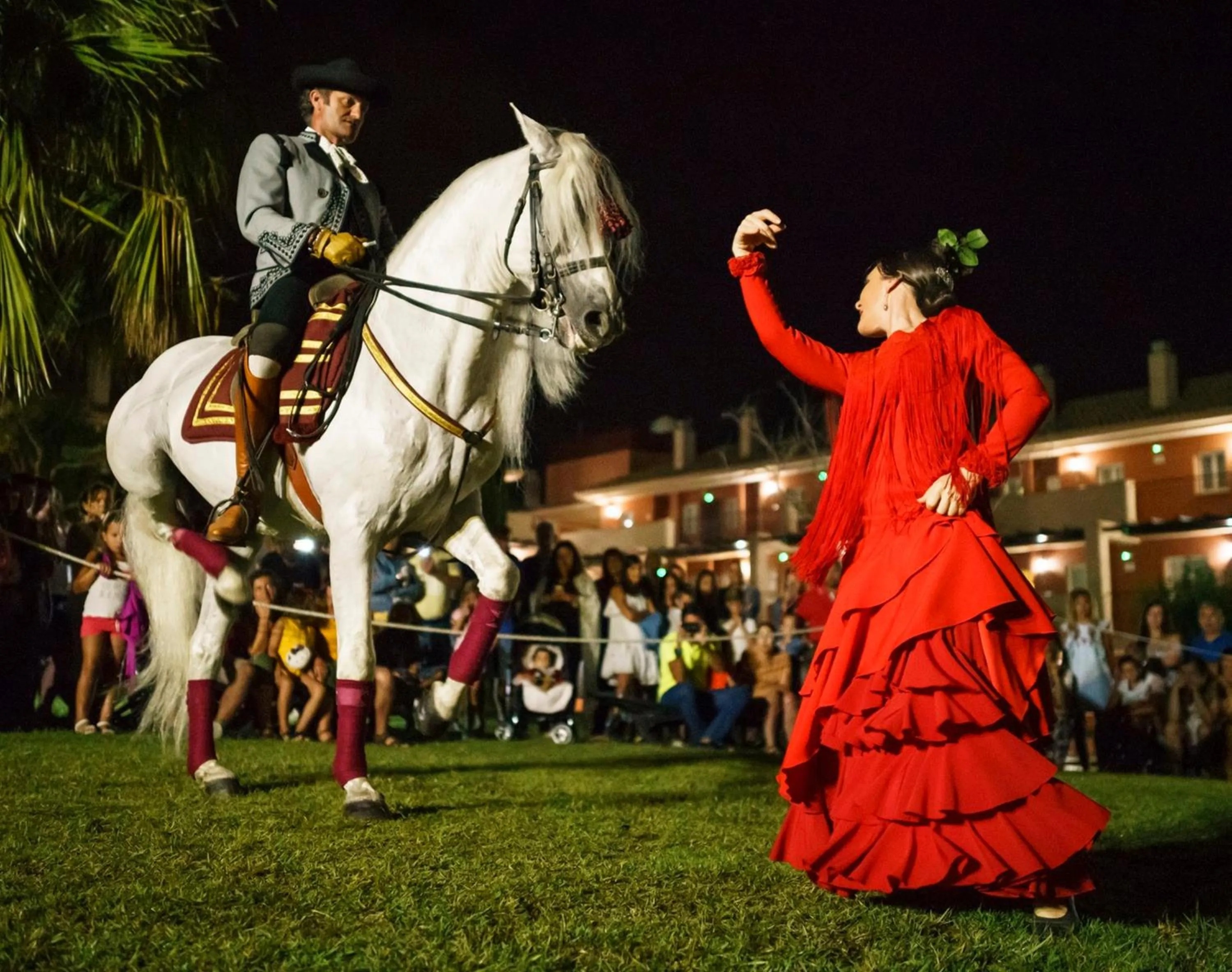 Evening entertainment in Ilunion Sancti Petri