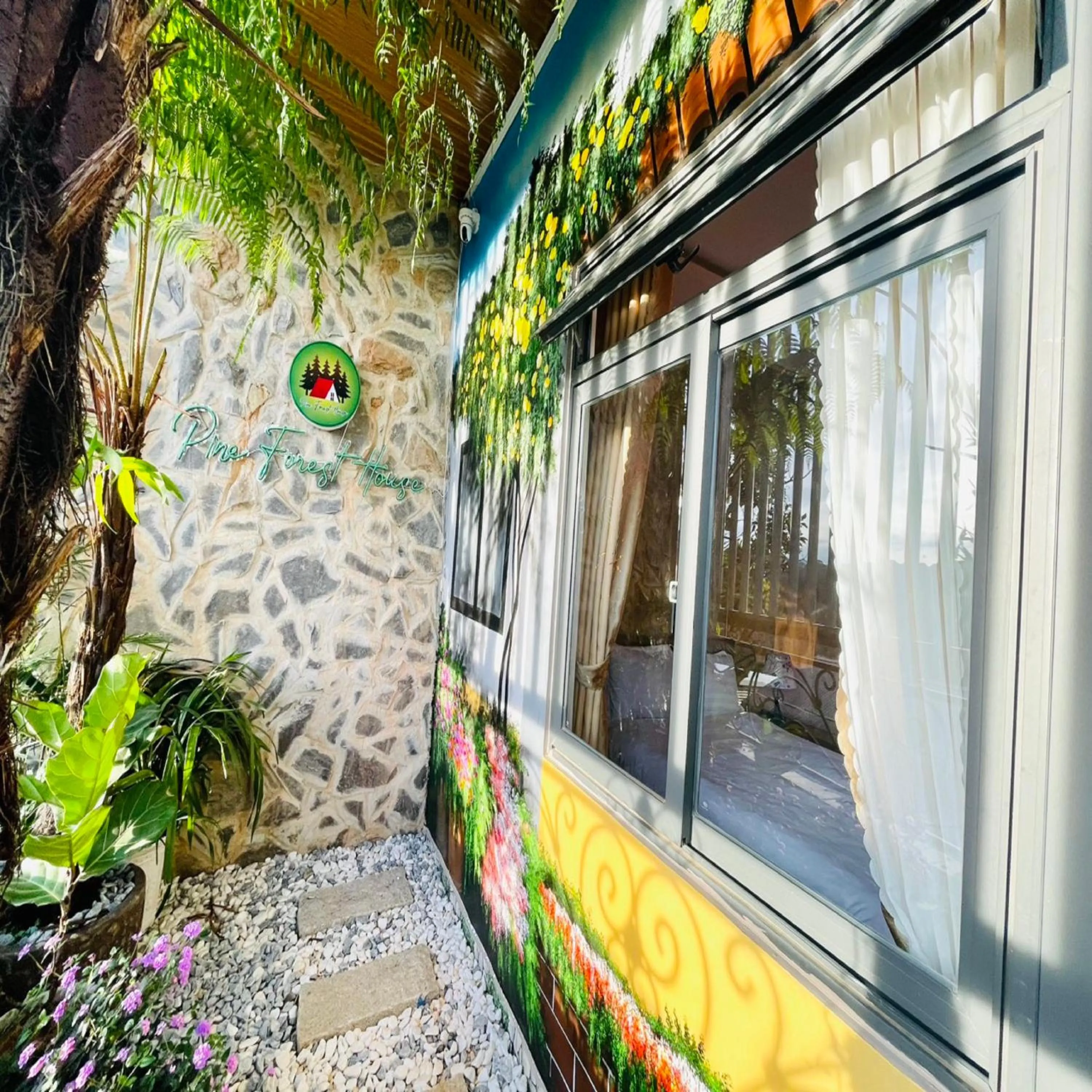 Day in Pine Forest House Dalat