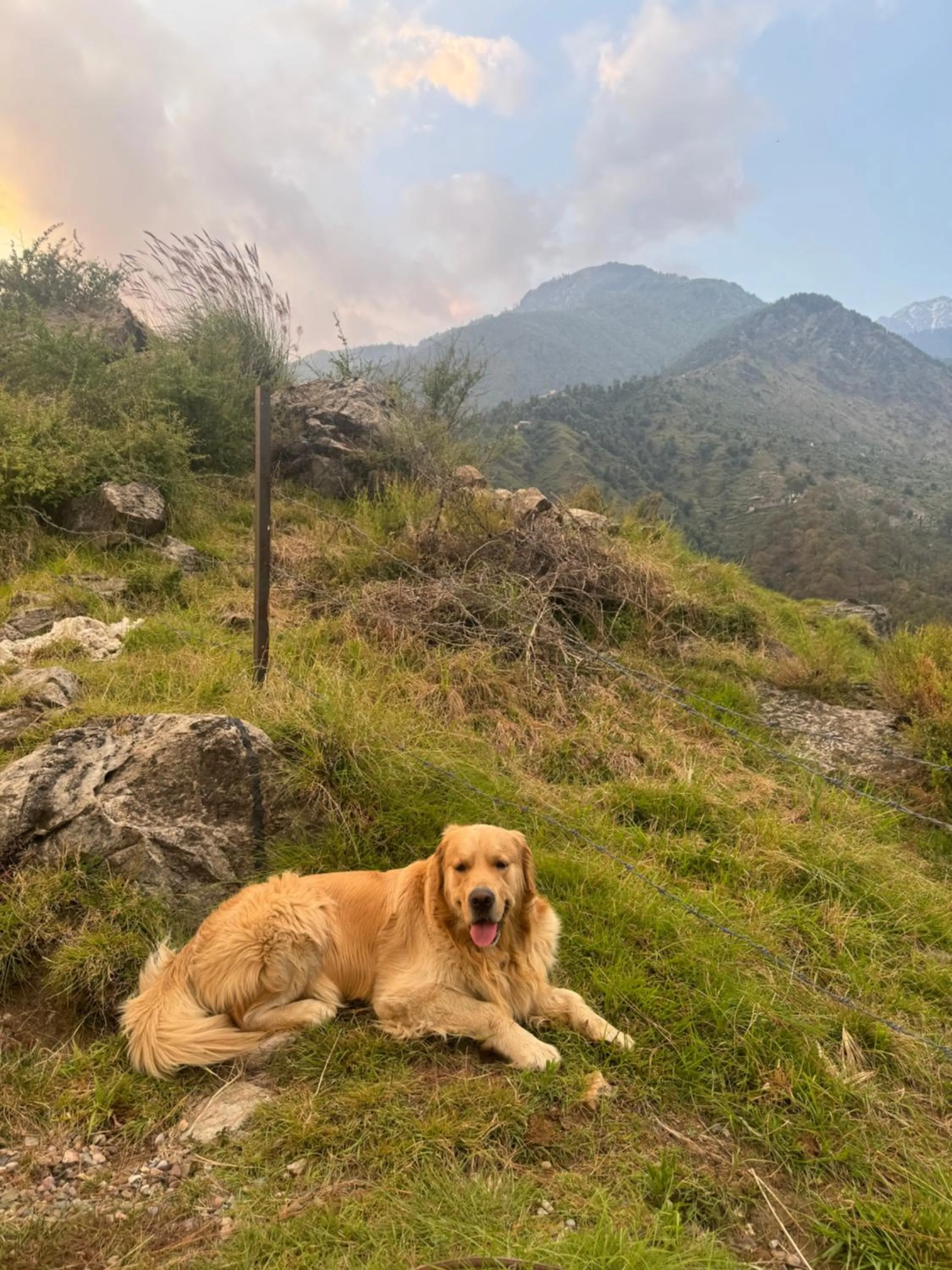 Natural landscape in Snow Biscuit Mountain Resort