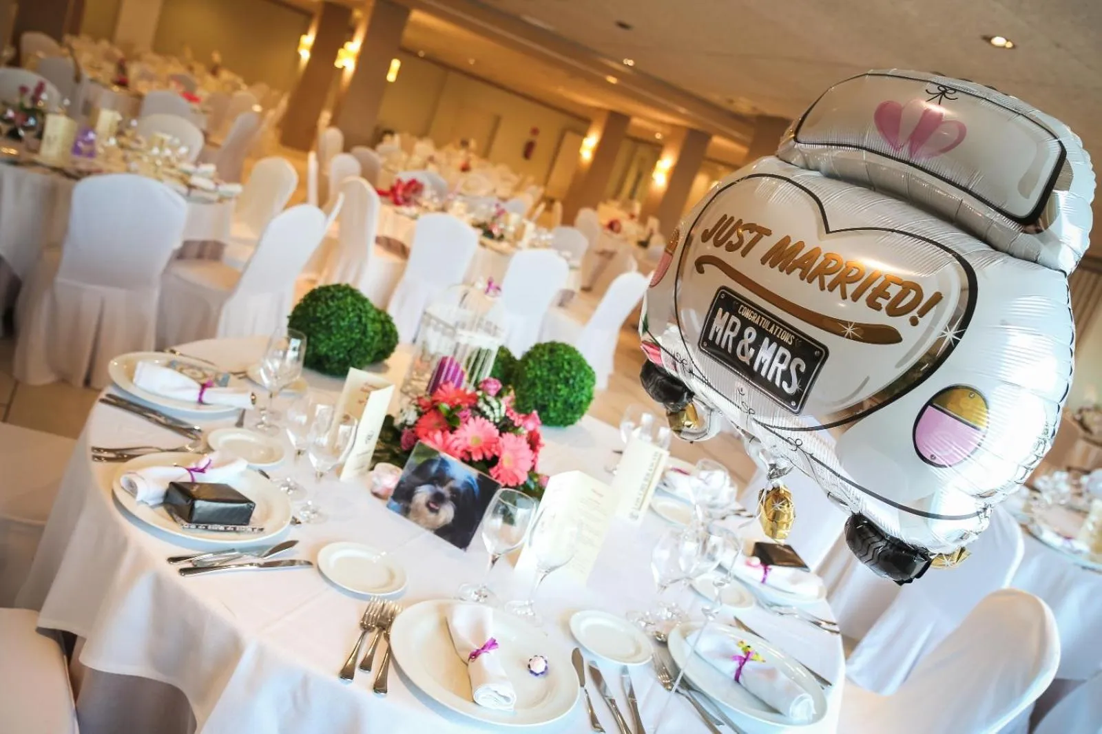 Restaurant/places to eat in Hotel 525