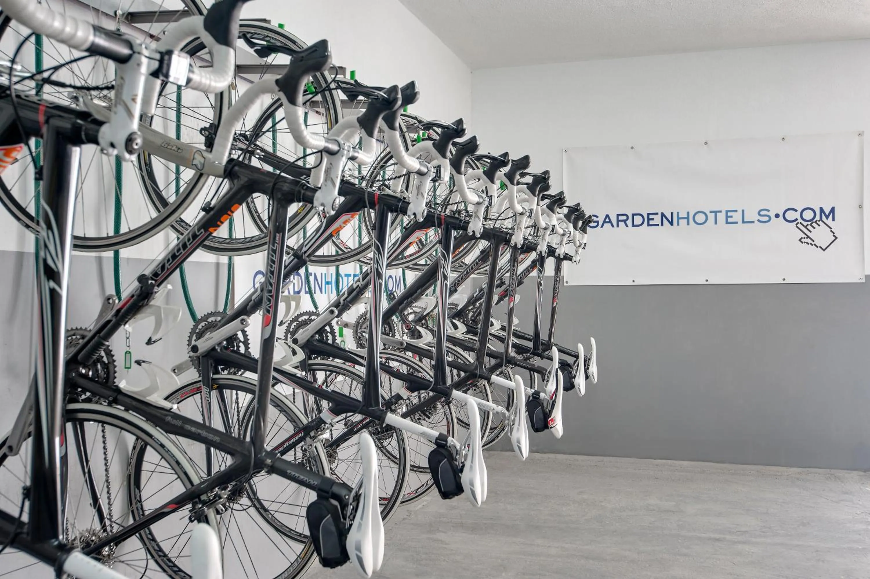 Cycling in Palm Garden