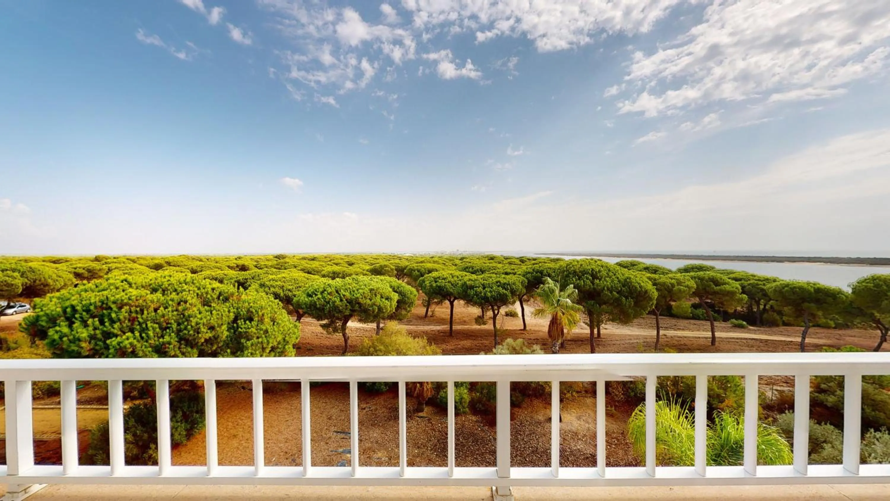 Photo of the whole room in Garden Playanatural - Adults Only