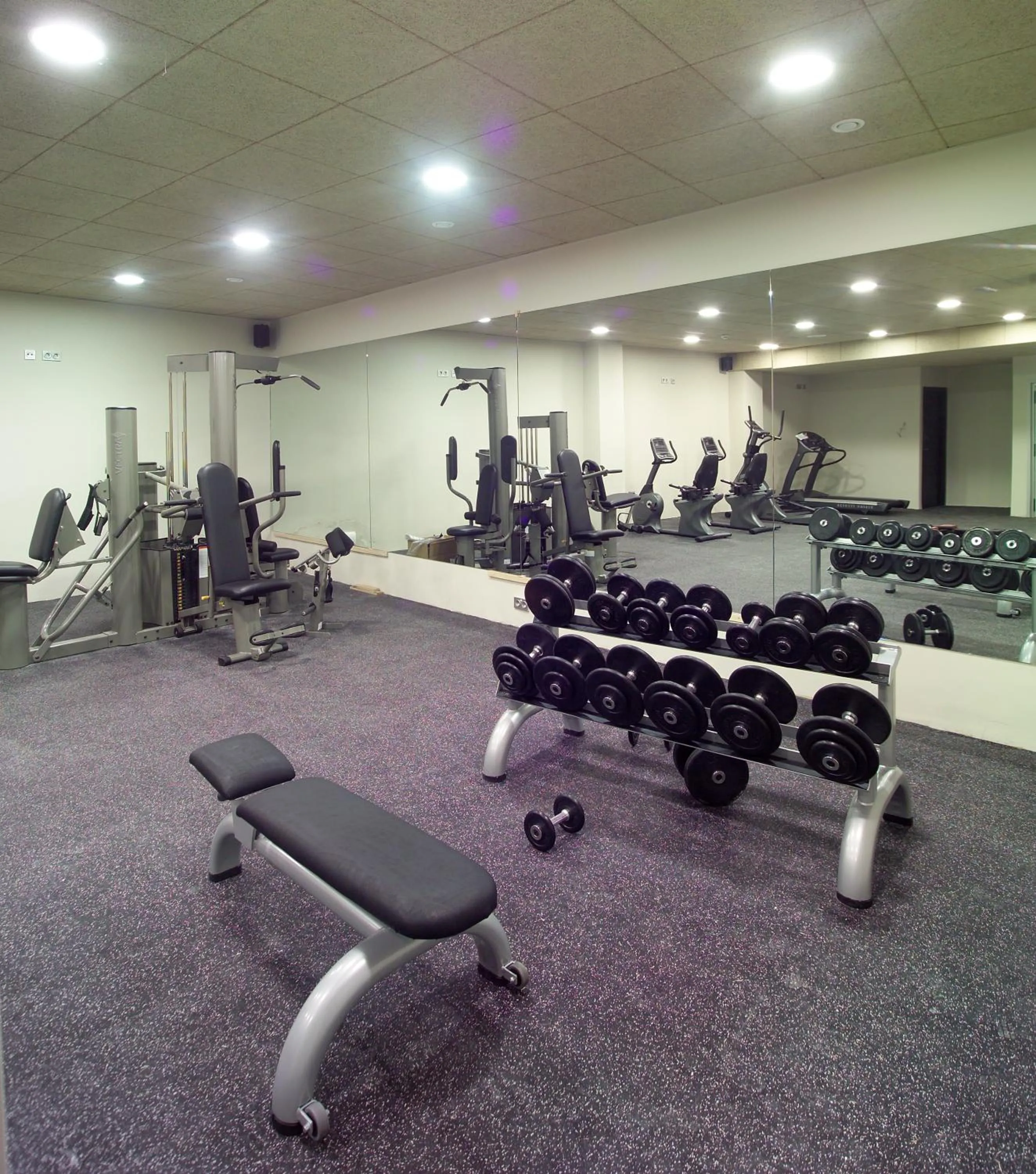 Fitness centre/facilities in Hotel Abades Nevada Palace