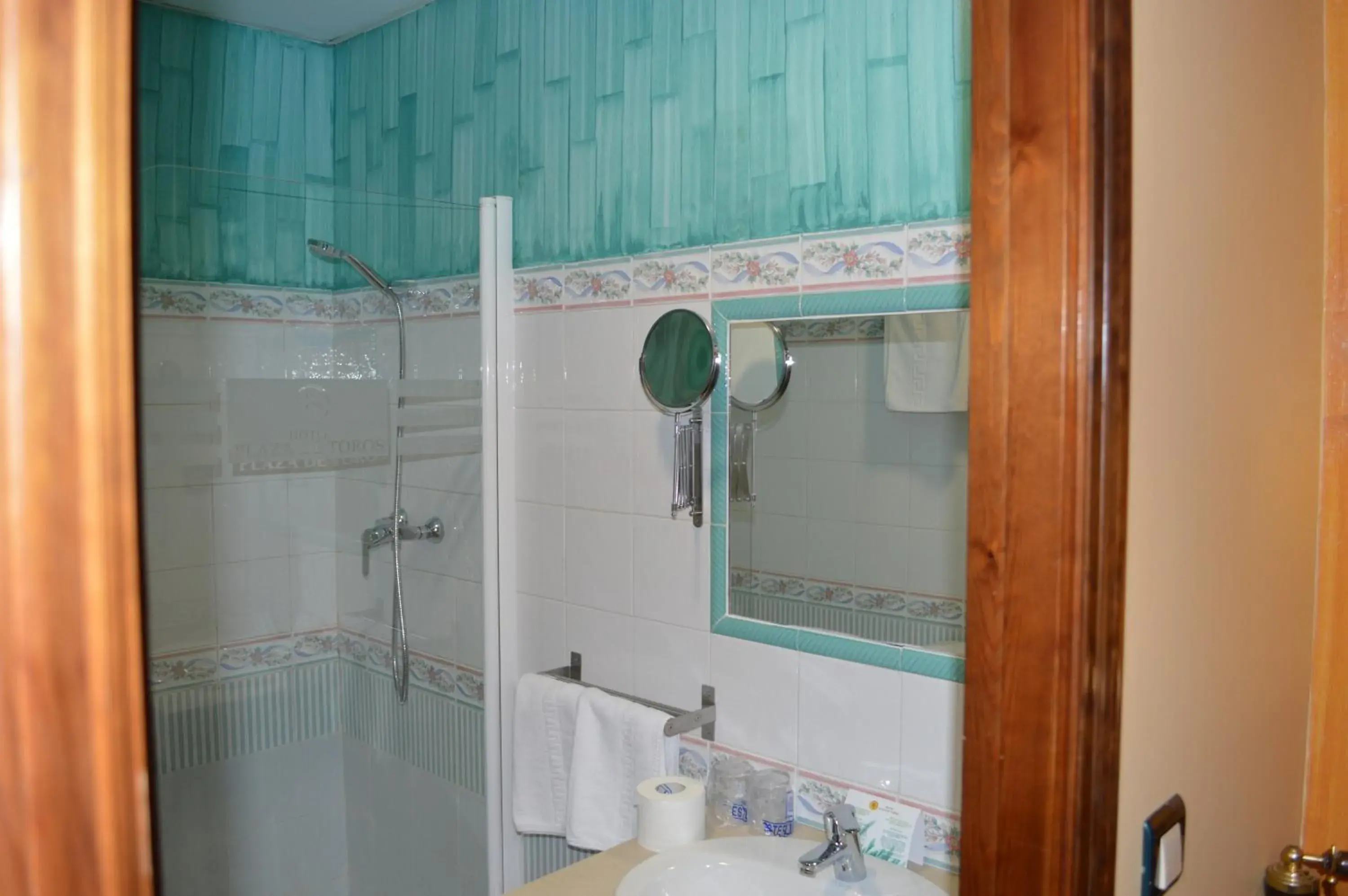 Single Room in Plaza de Toros Single Room in Plaza de Toros