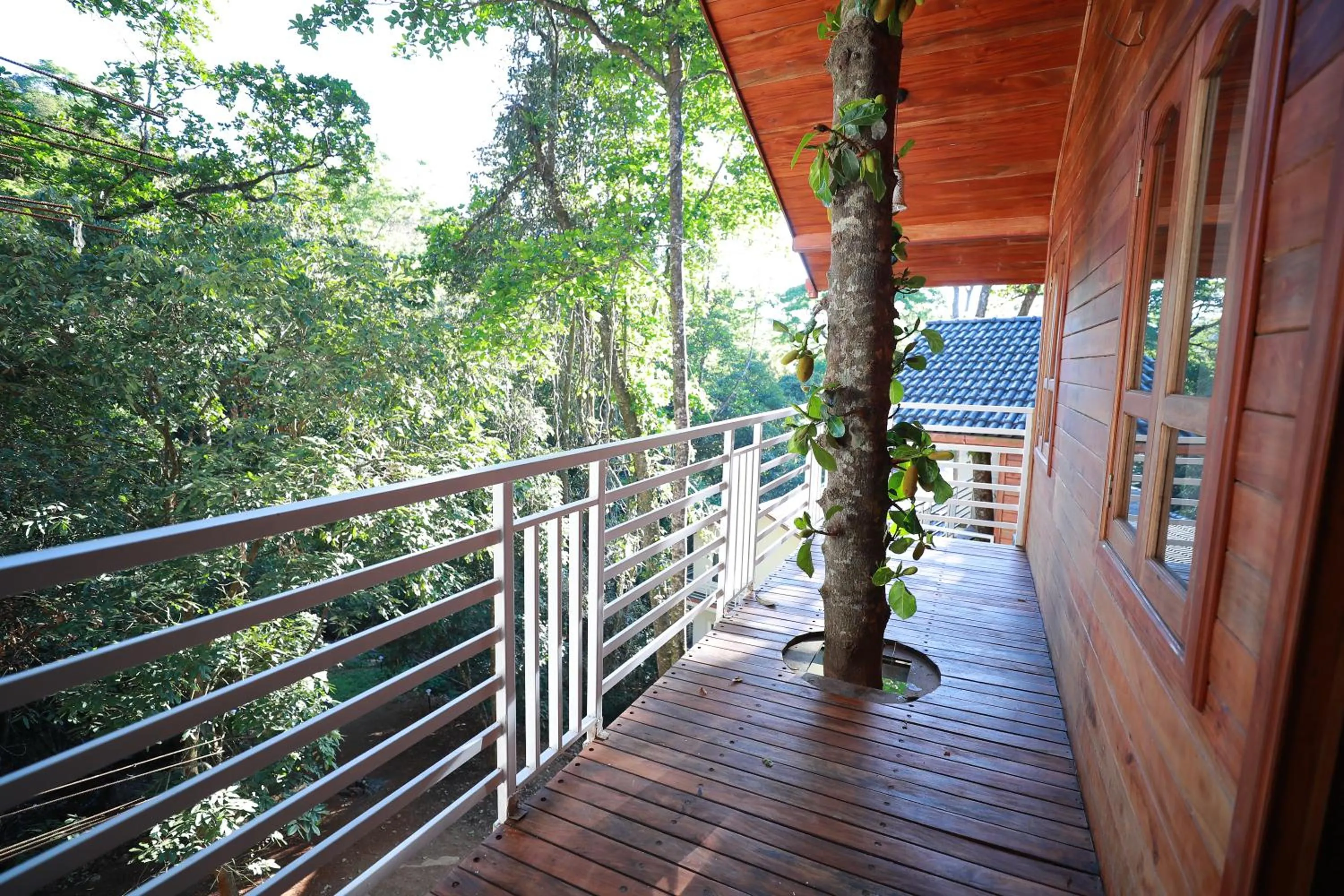 Day in Coorg Coffee Bean Resort Madikeri