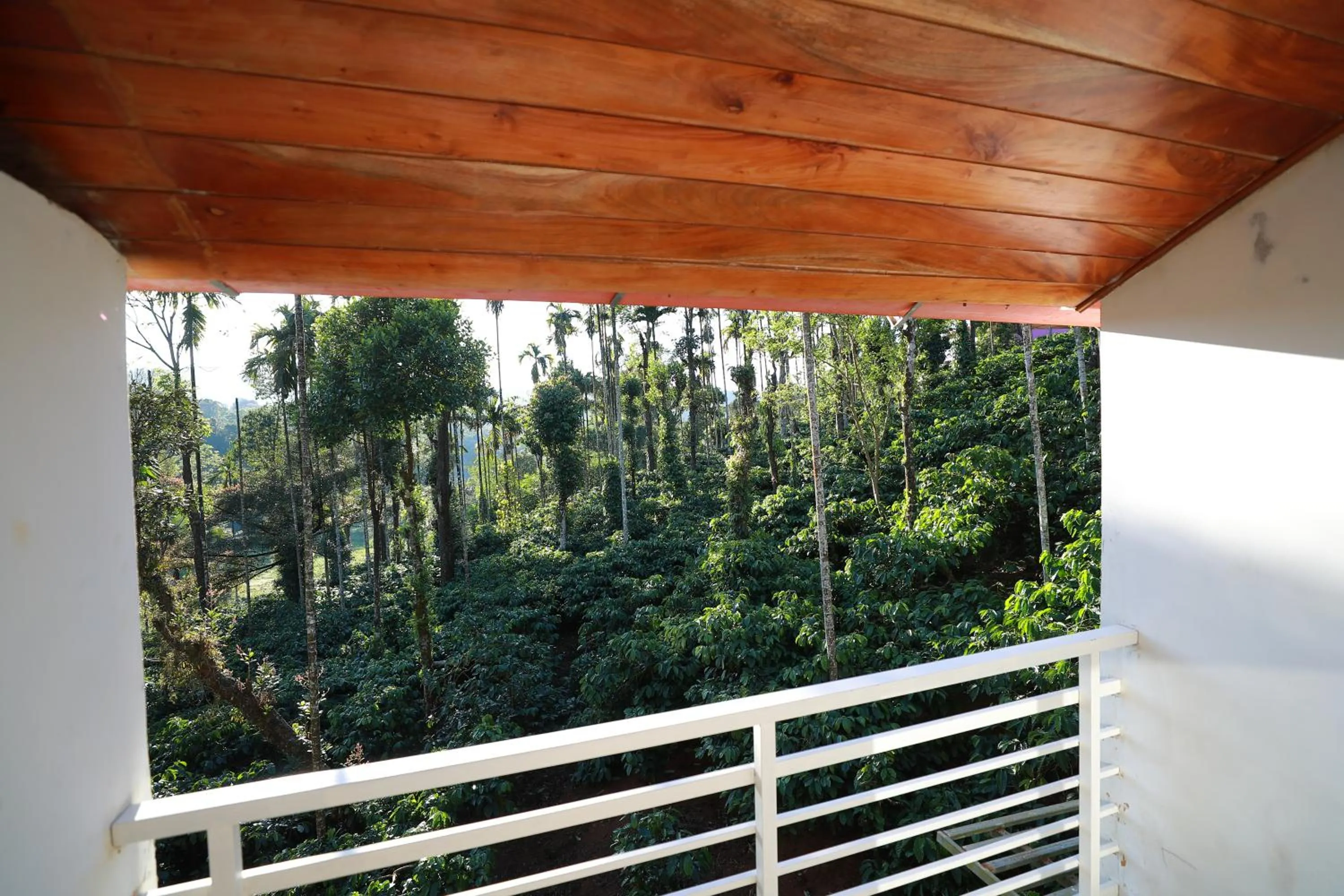 View (from property/room) in Coorg Coffee Bean Resort Madikeri