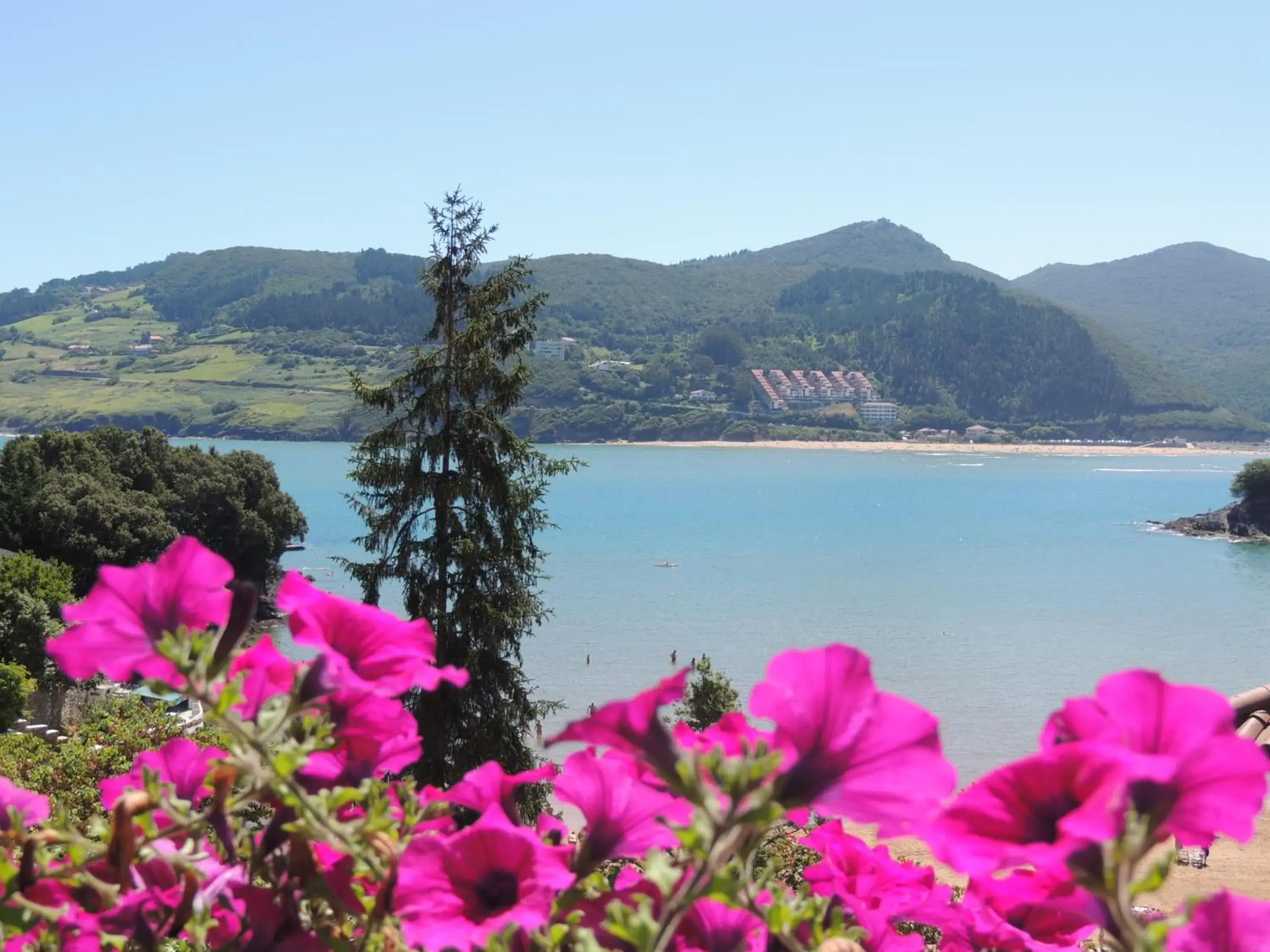 Sea view in Apartamentos Mundaka Sea view in Apartamentos Mundaka