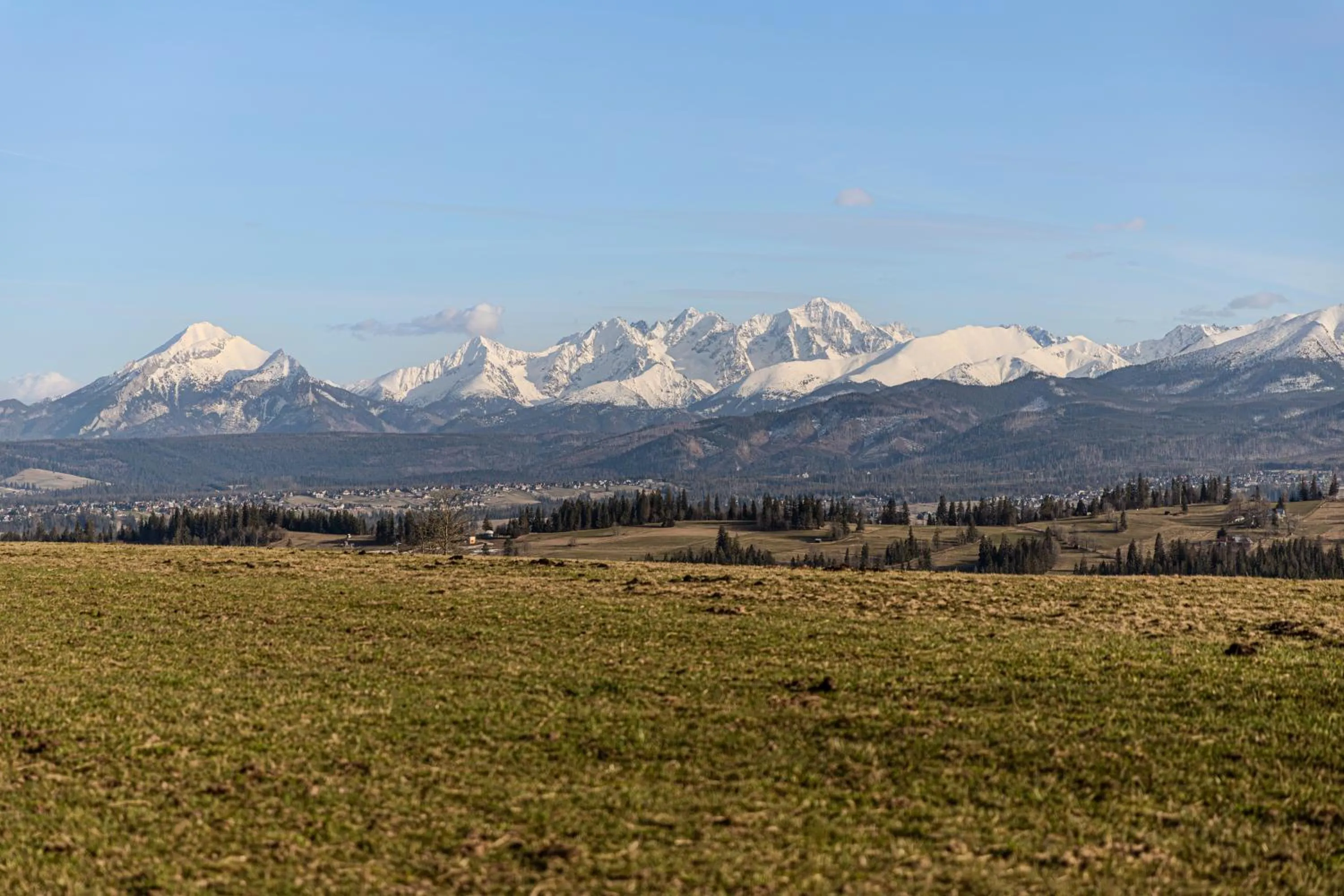 Day in Zapotoczny Residence