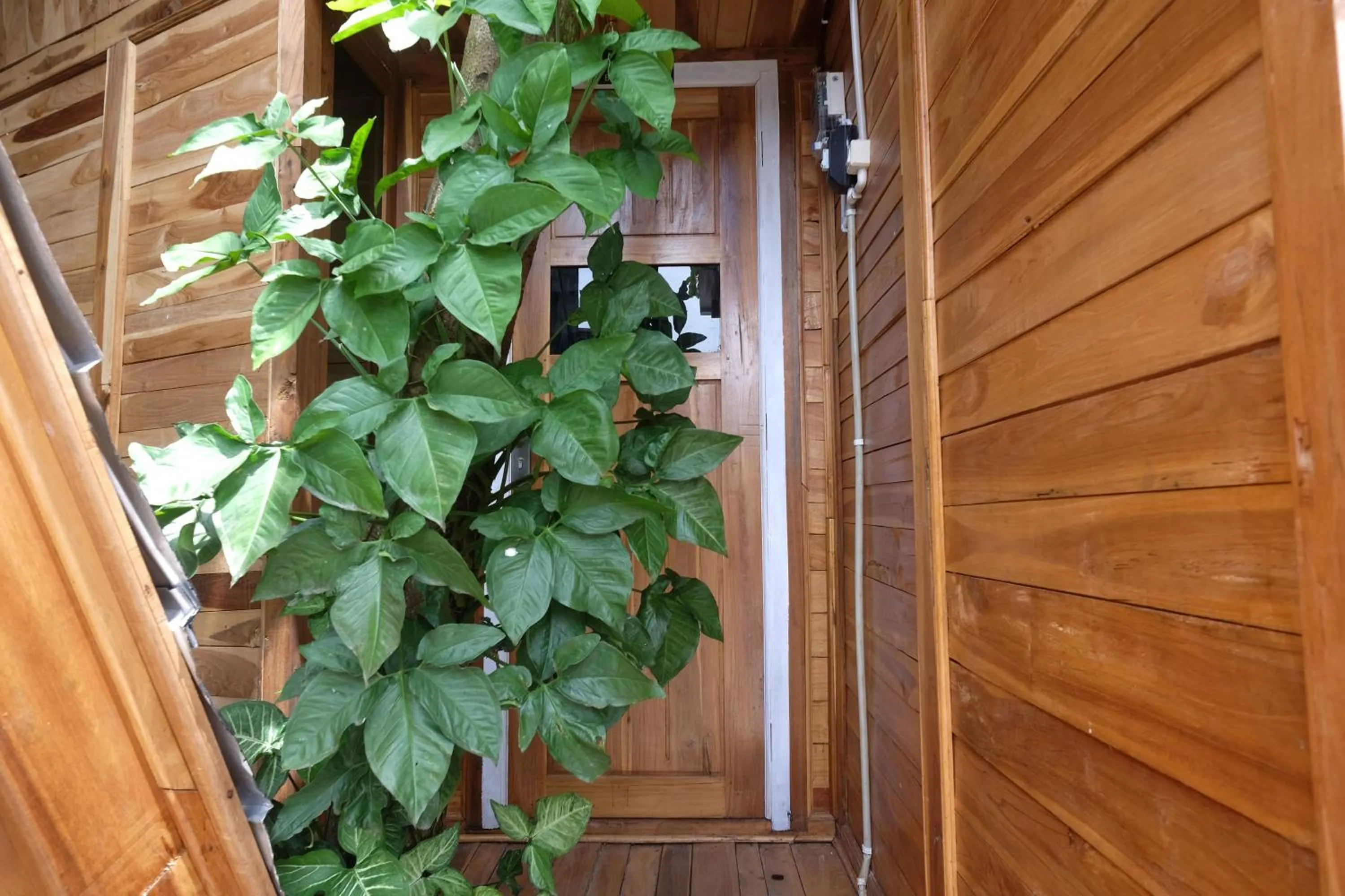 Decorative detail in Urbanview Villa Kolopaking Kebumen by RedDoorz