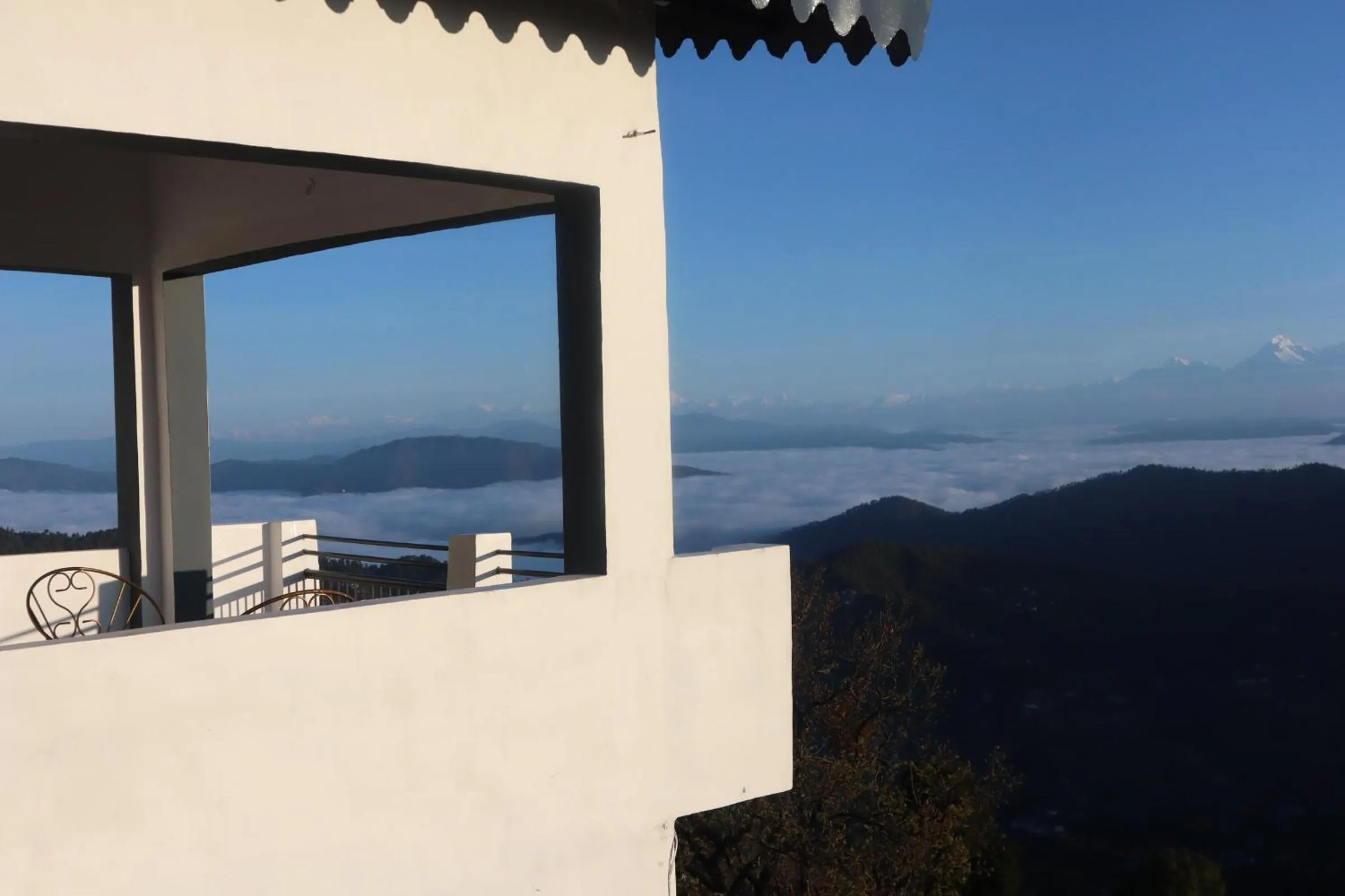 Day in THE FOX RETREAT