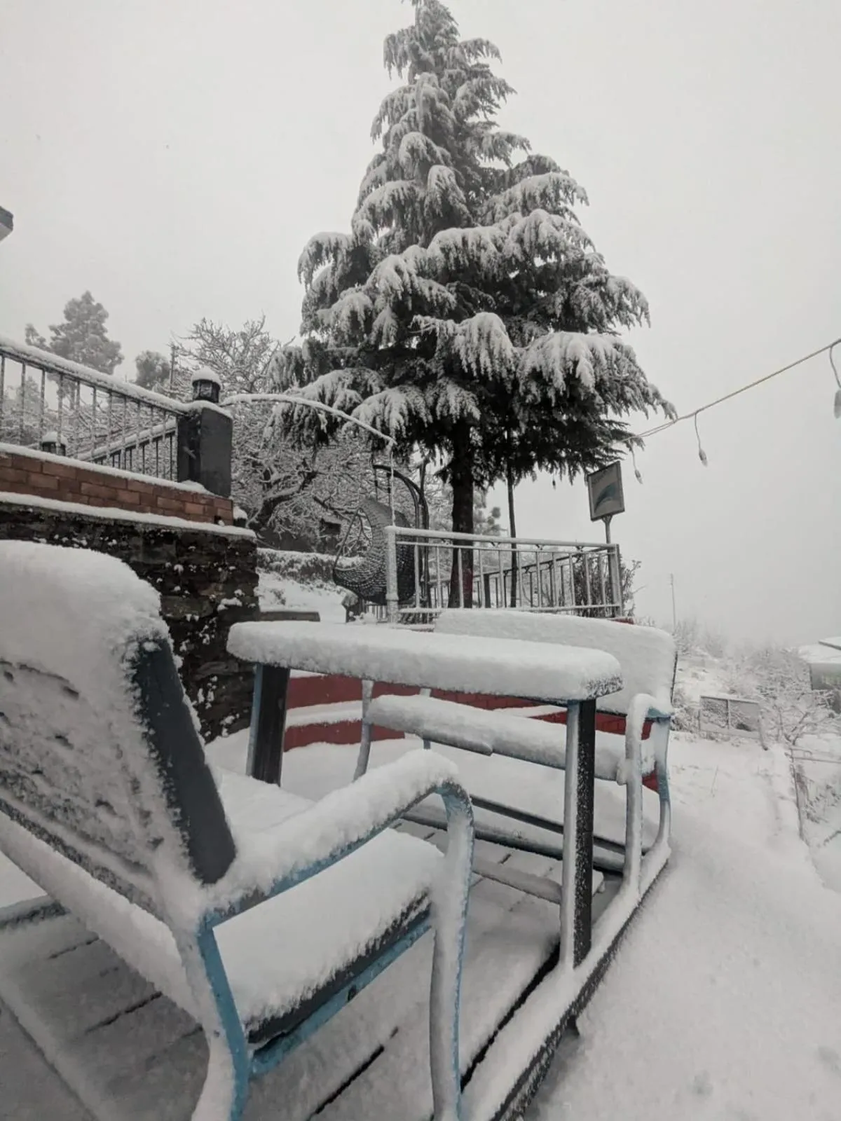 Winter in THE FOX RETREAT