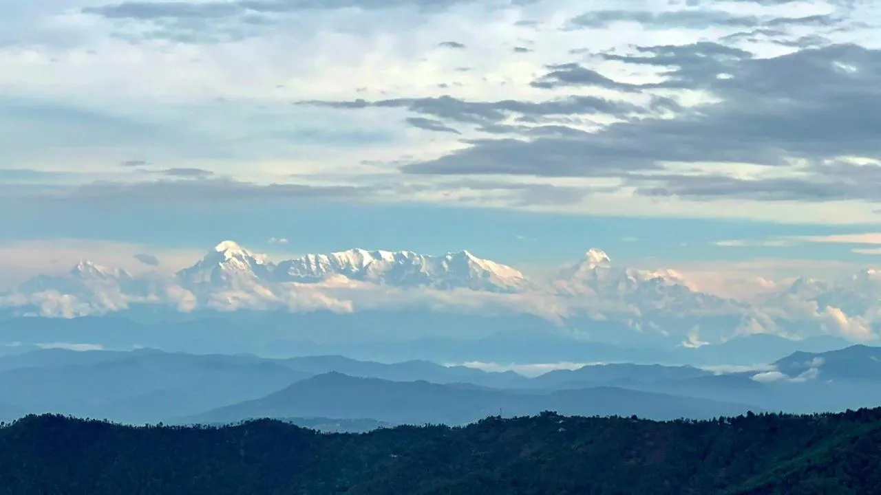 Day in THE FOX RETREAT