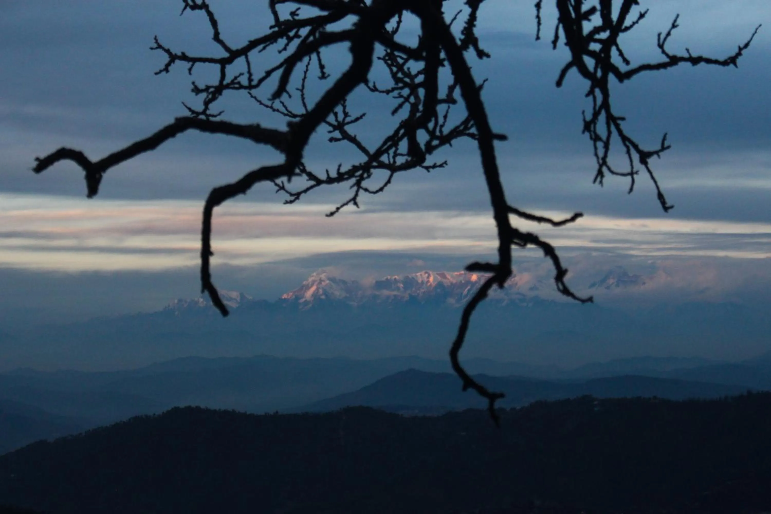 Natural landscape in THE FOX RETREAT
