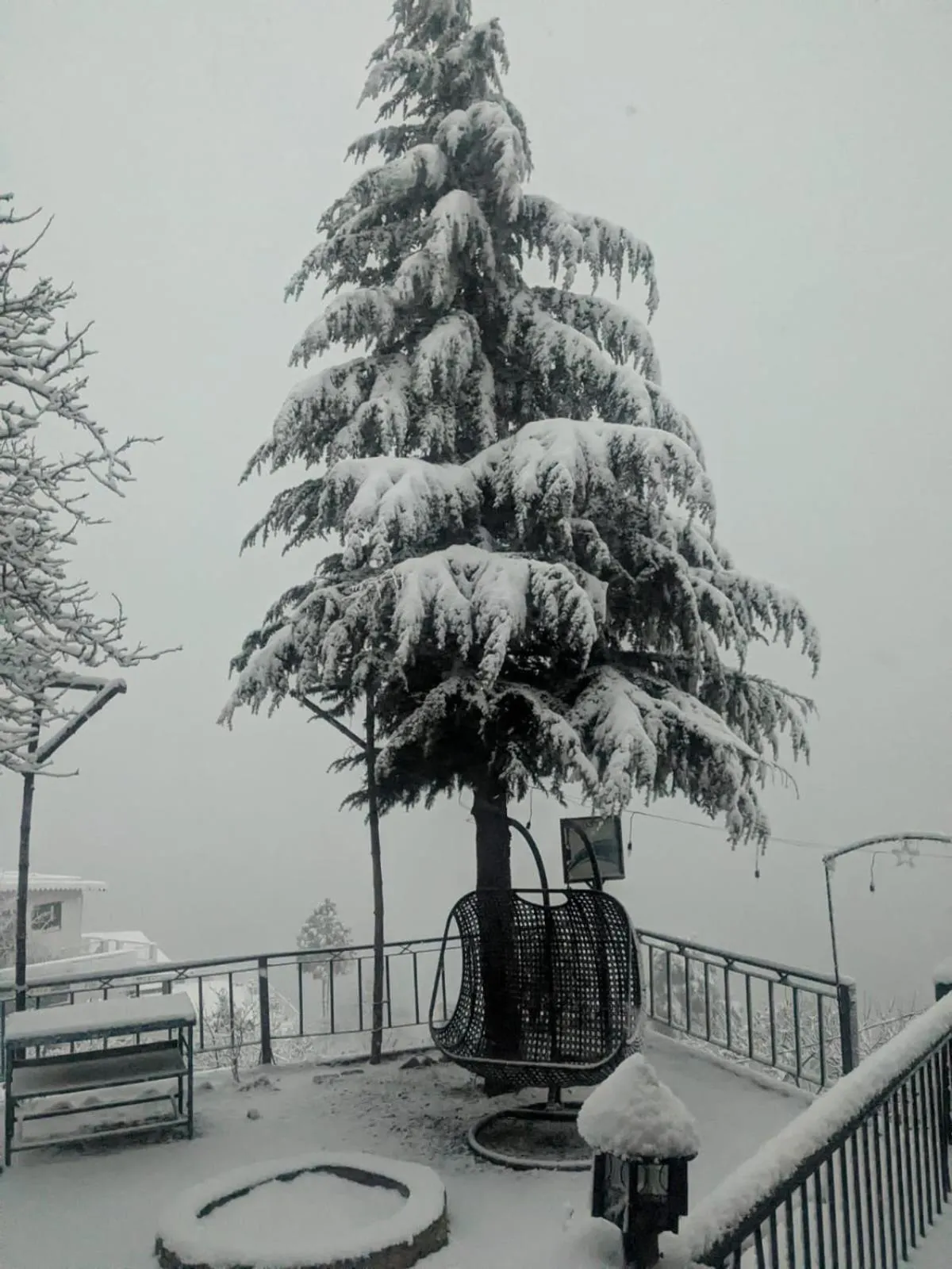 Natural landscape in THE FOX RETREAT