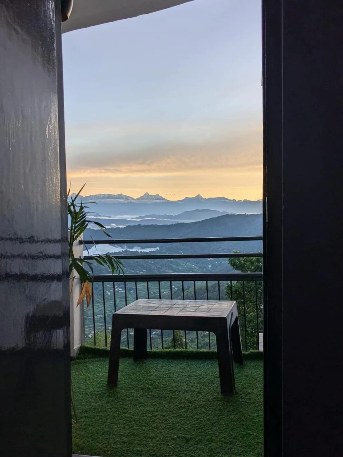 Day in THE FOX RETREAT