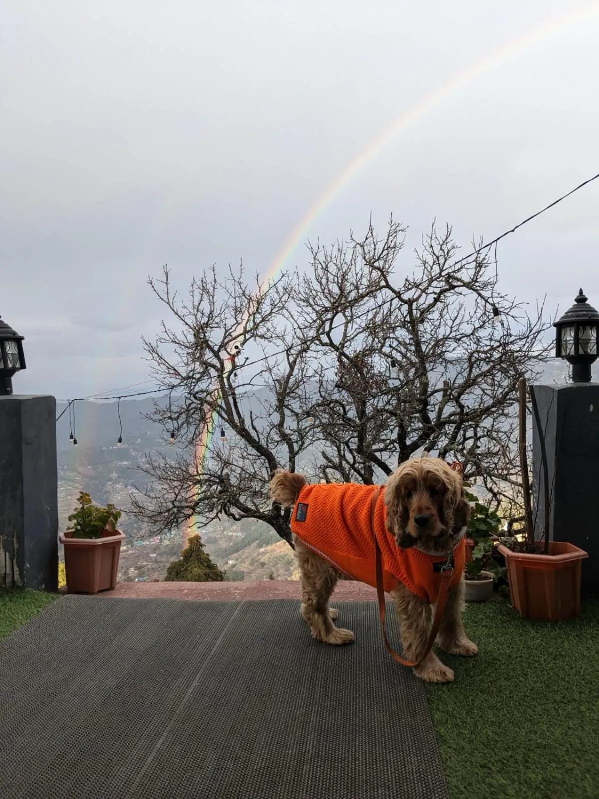 Patio in THE FOX RETREAT