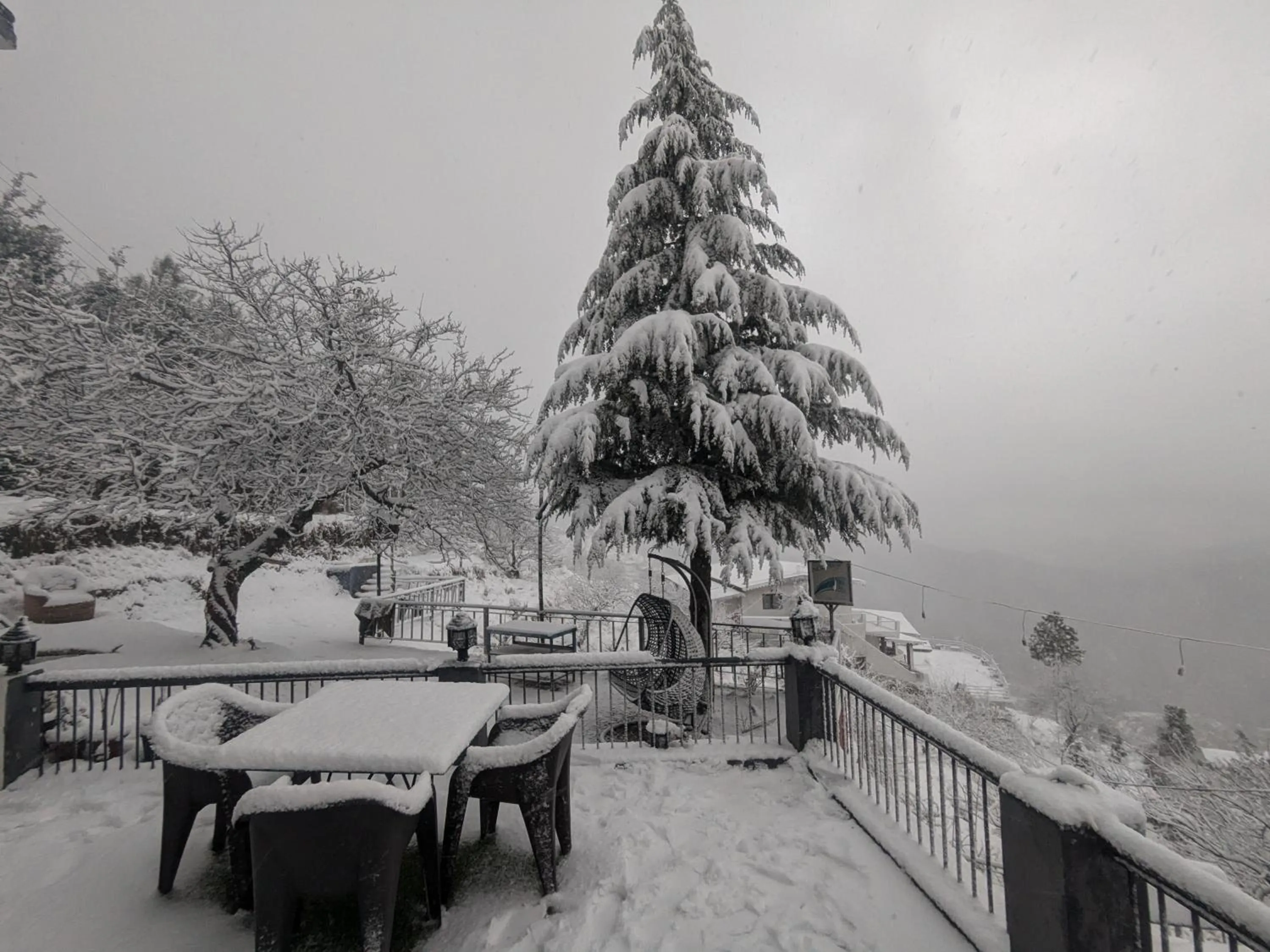 Natural landscape in THE FOX RETREAT