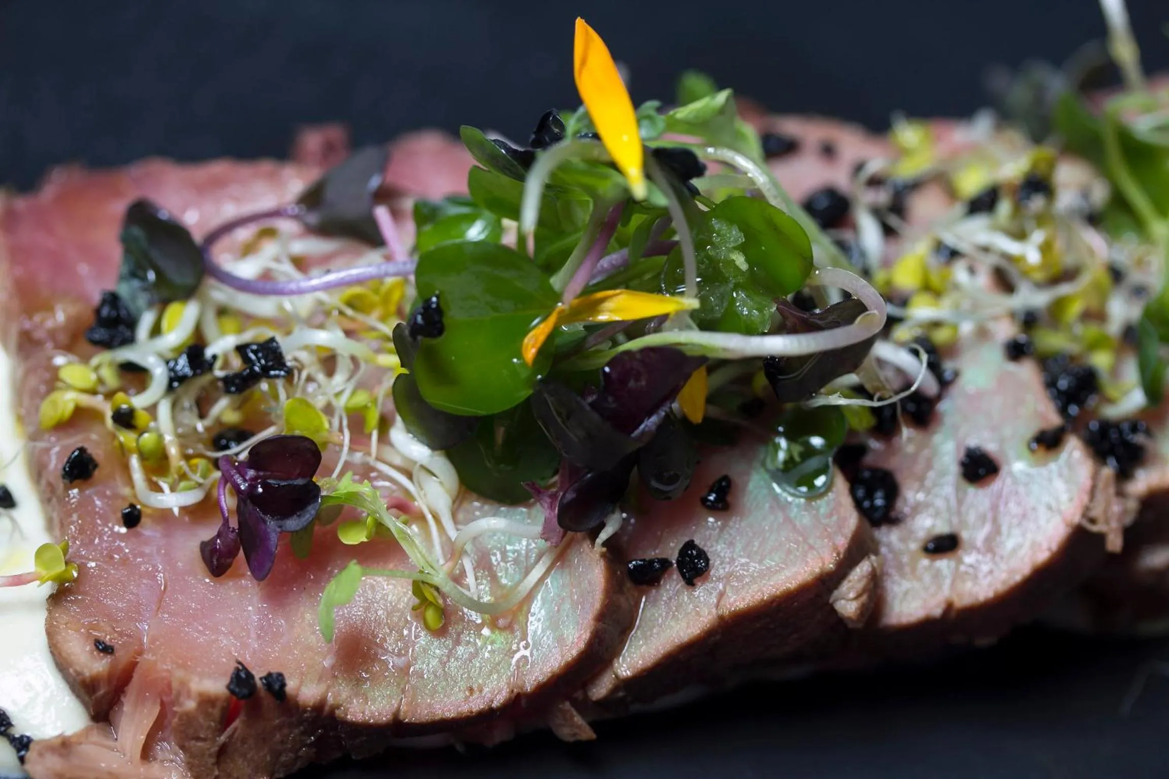 Restaurant/places to eat in Hotel Los Habaneros