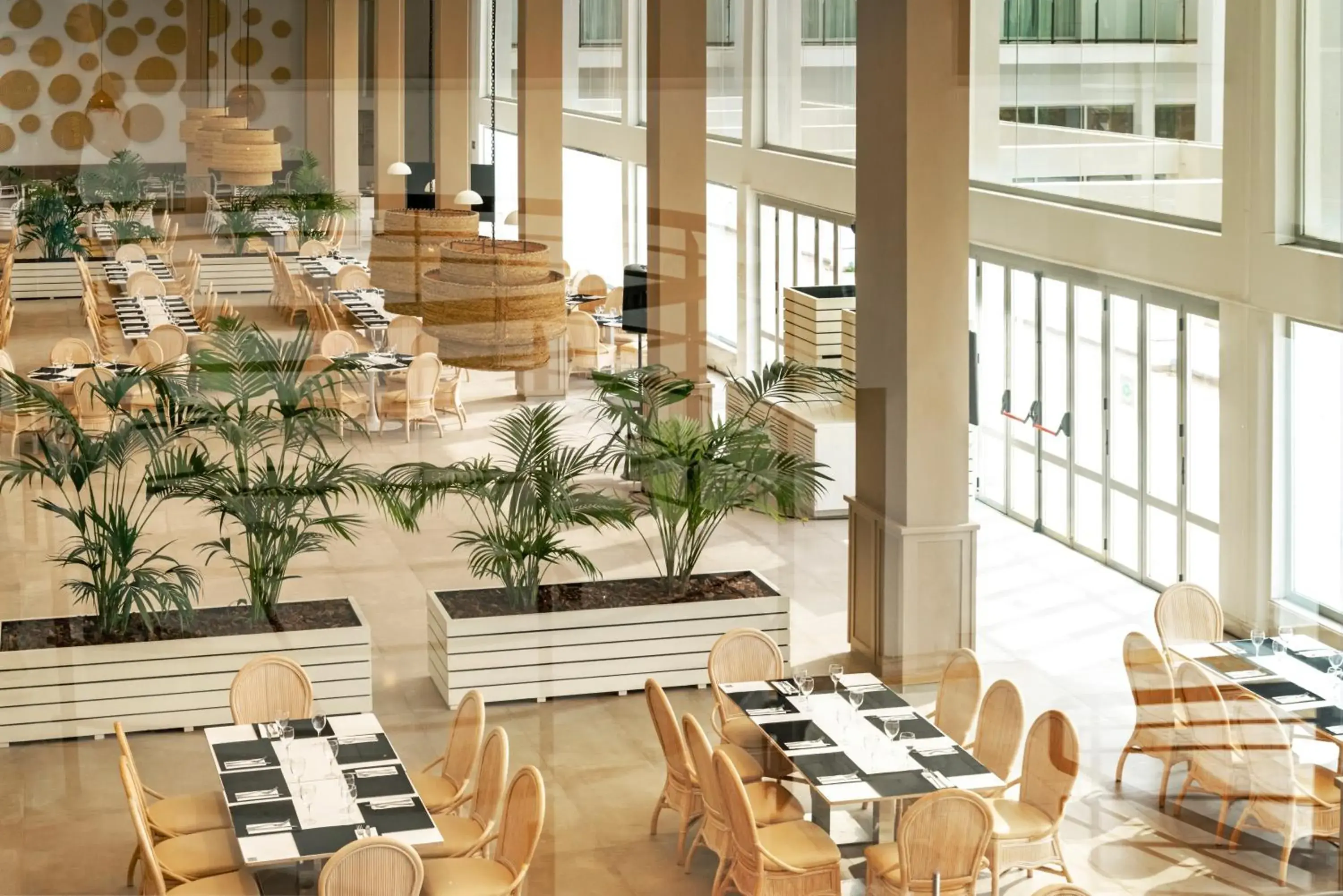 Restaurant/places to eat in Hotel Cabogata Jardín Restaurant/places to eat in Hotel Cabogata Jardín