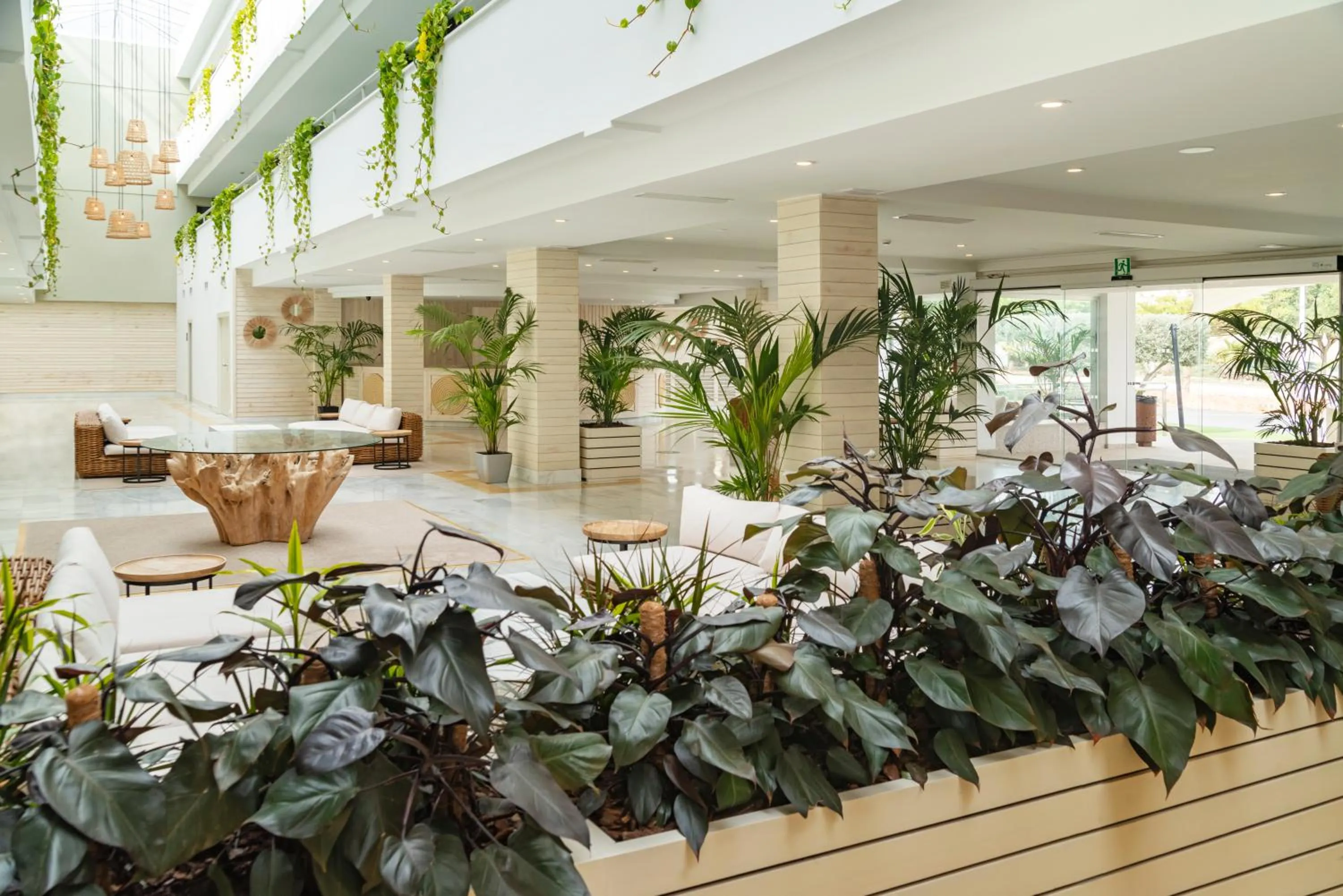 Lobby or reception in Hotel Cabogata Jardín