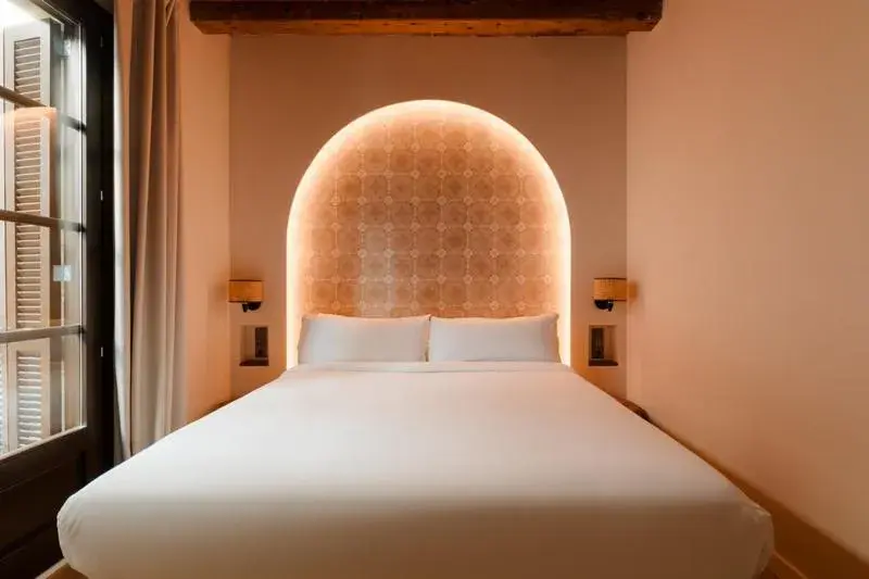 Standard Double Room in Hotel Hamsa House Standard Double Room in Hotel Hamsa House