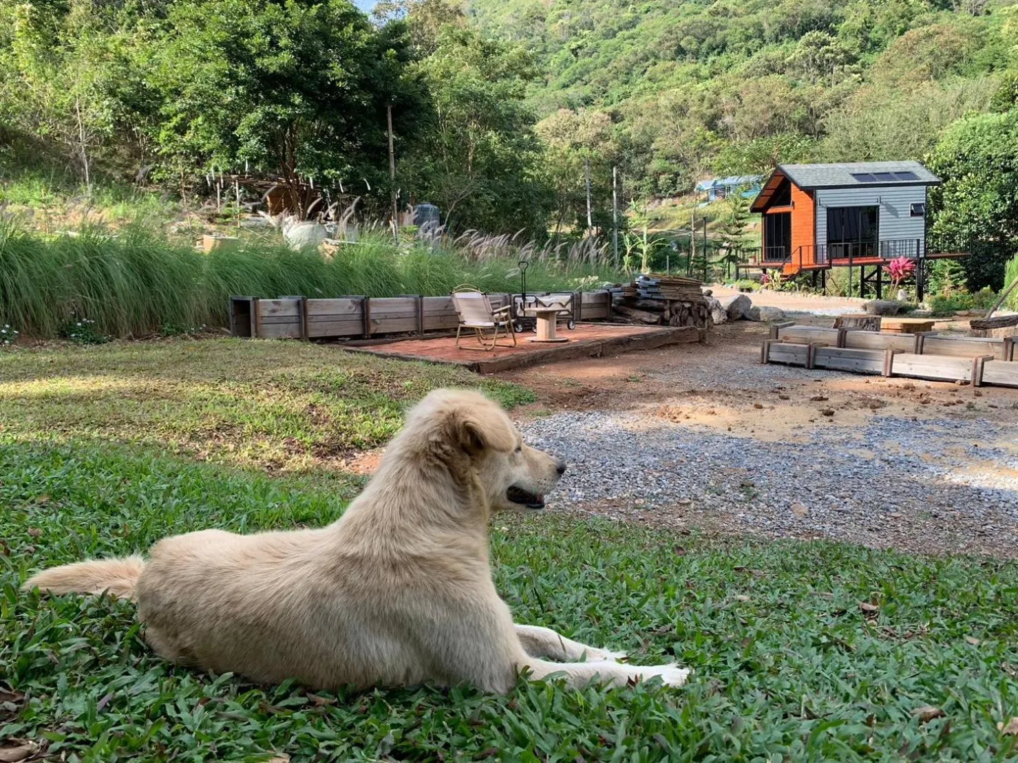 Natural landscape in The Signature Valley Khao-yai Campus