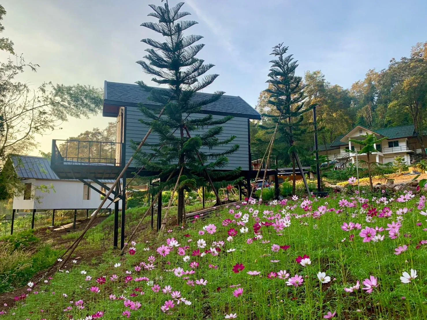 Natural landscape in The Signature Valley Khao-yai Campus
