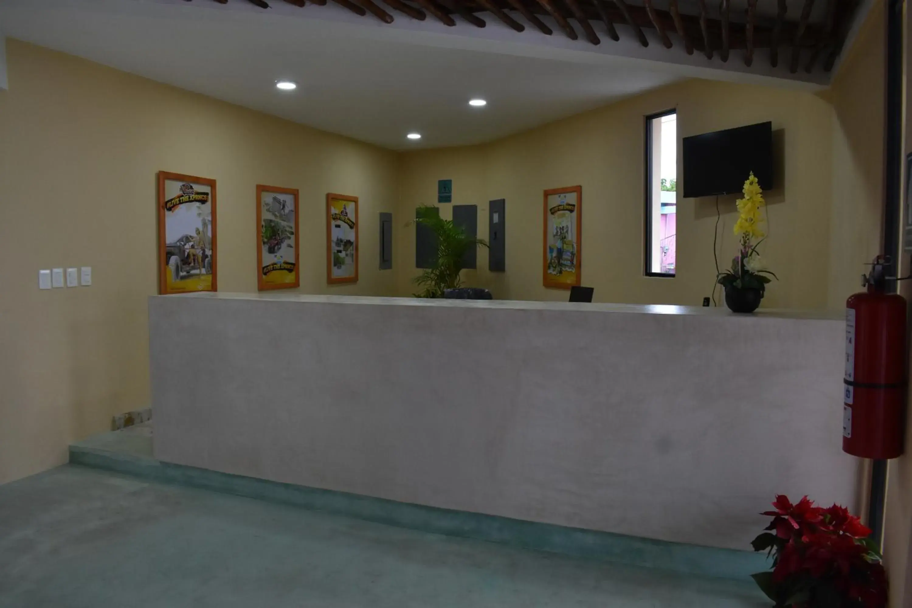 Lobby or reception in LUNA AZUL BY UVAS Lobby or reception in LUNA AZUL BY UVAS