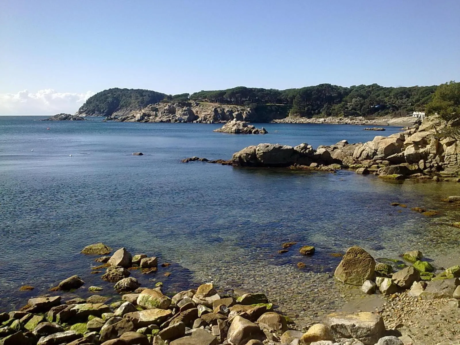 Area and facilities in Hotel Ancora