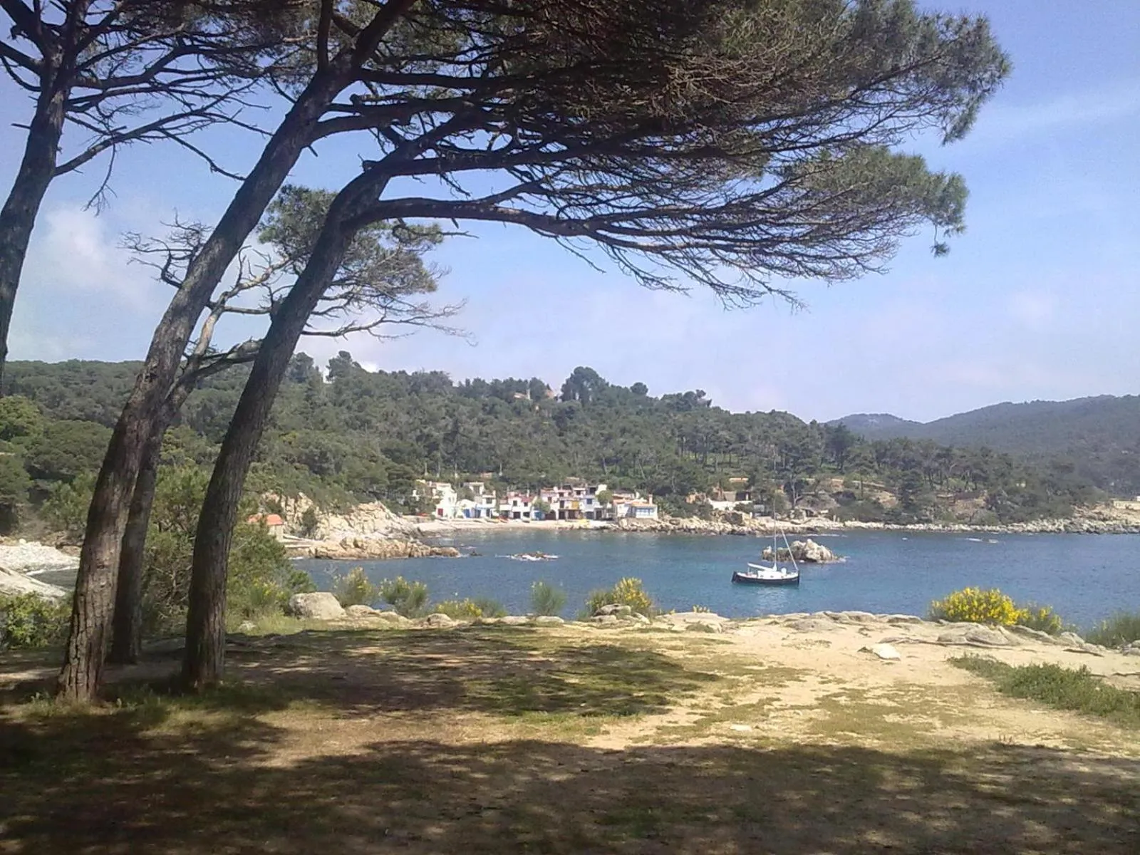 Natural landscape in Hotel Ancora