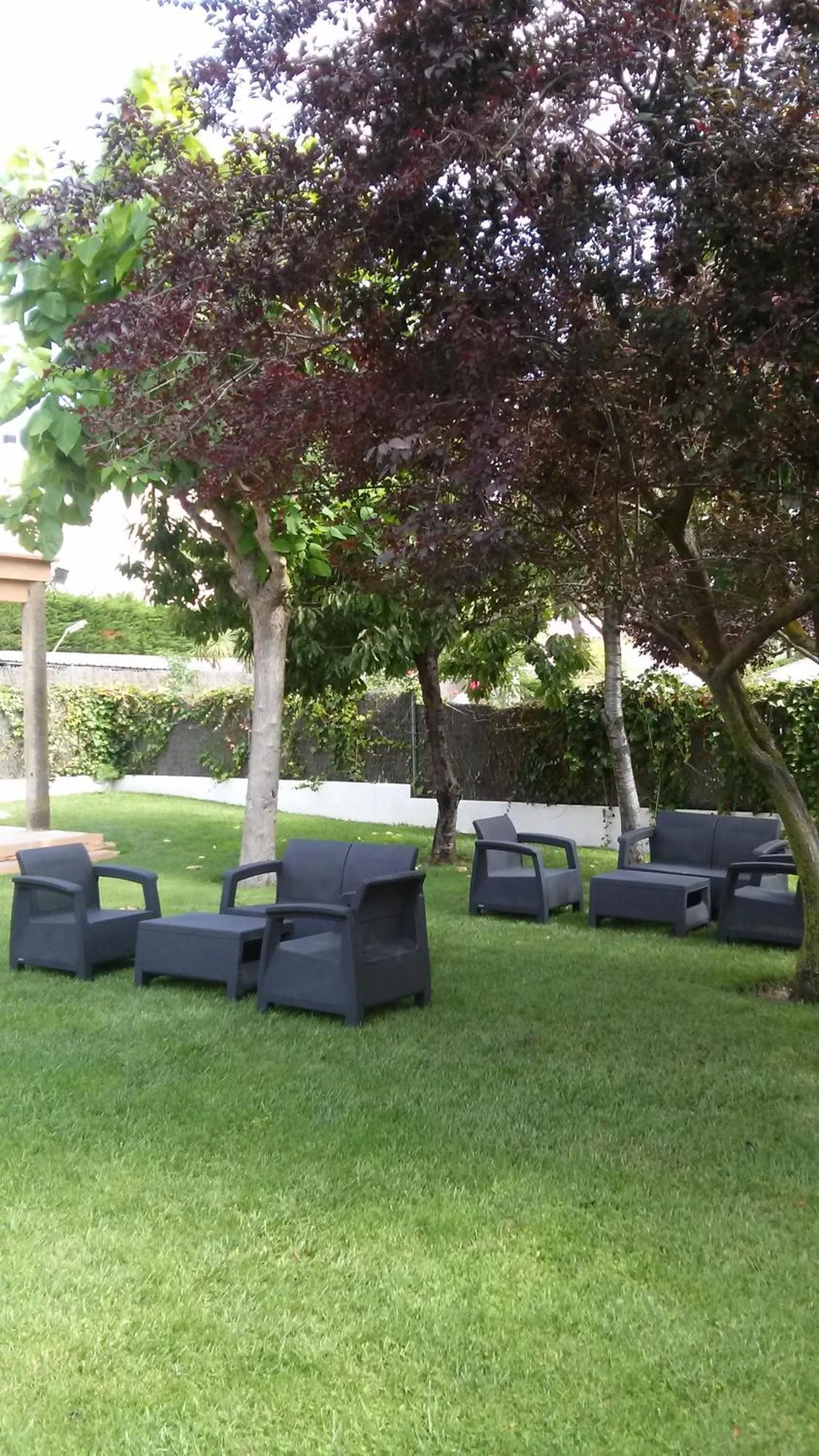 Garden in Hotel Ancora