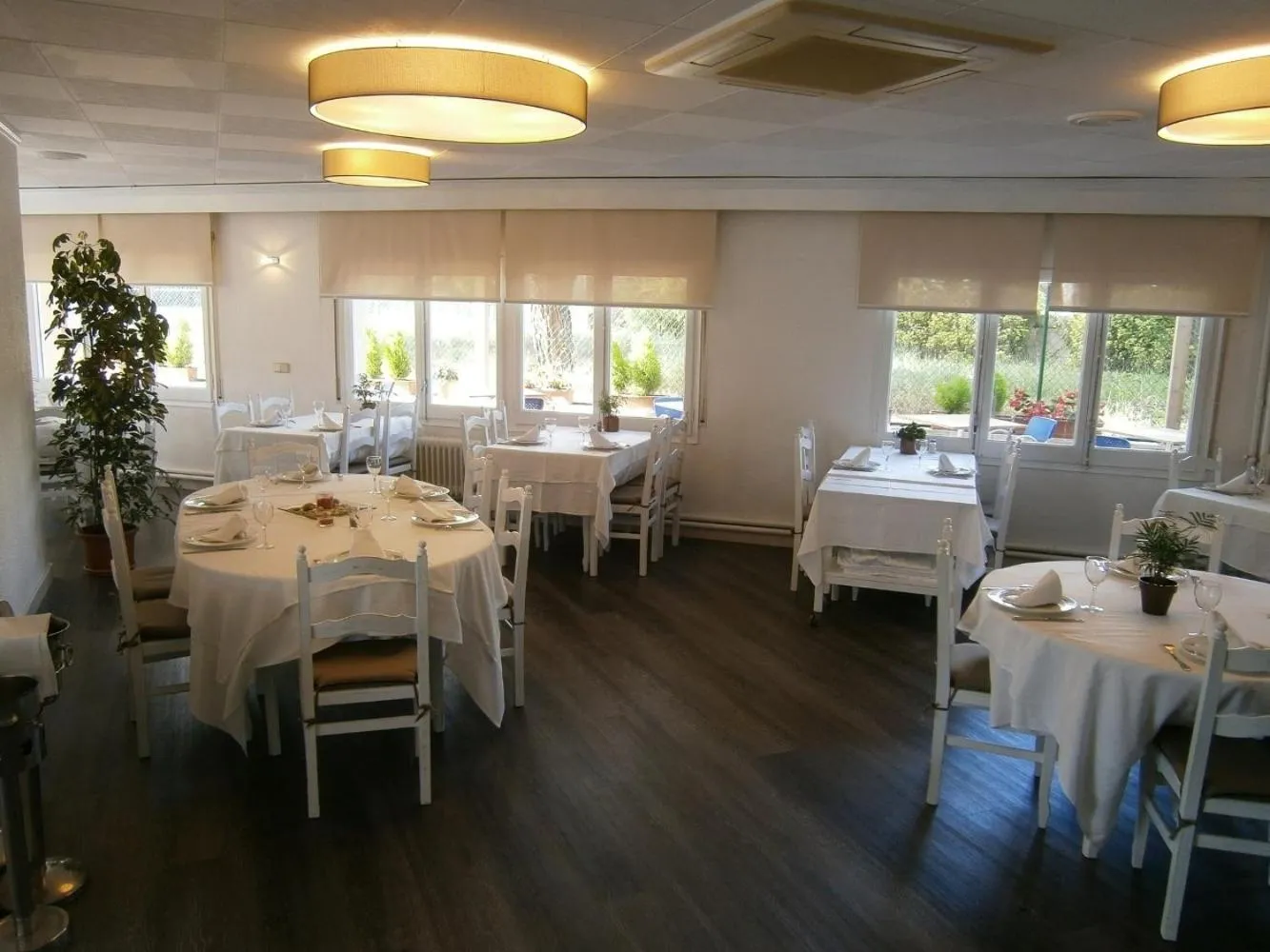 Restaurant/places to eat in Hotel Ancora