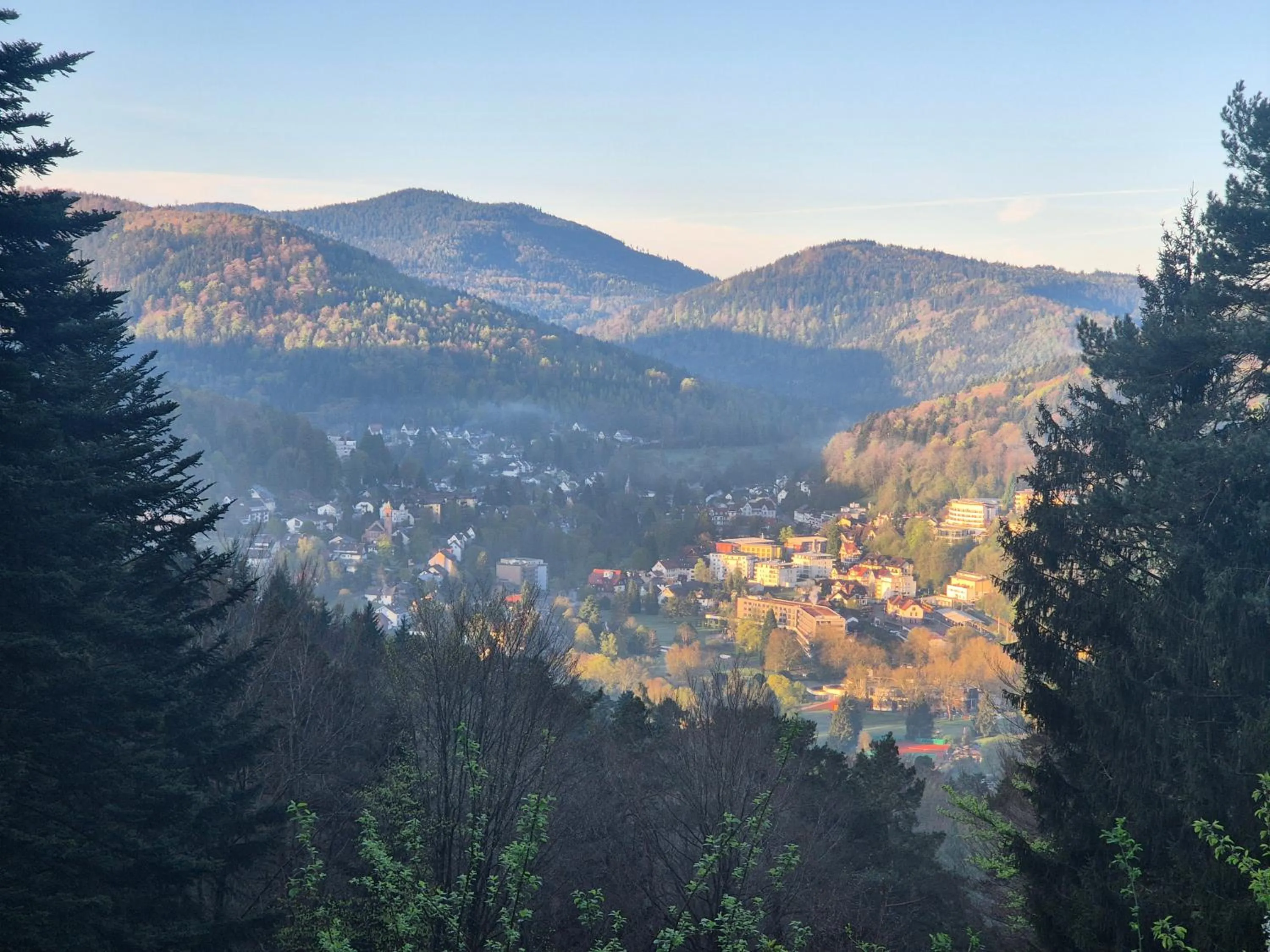 Area and facilities in Hotel Schönblick