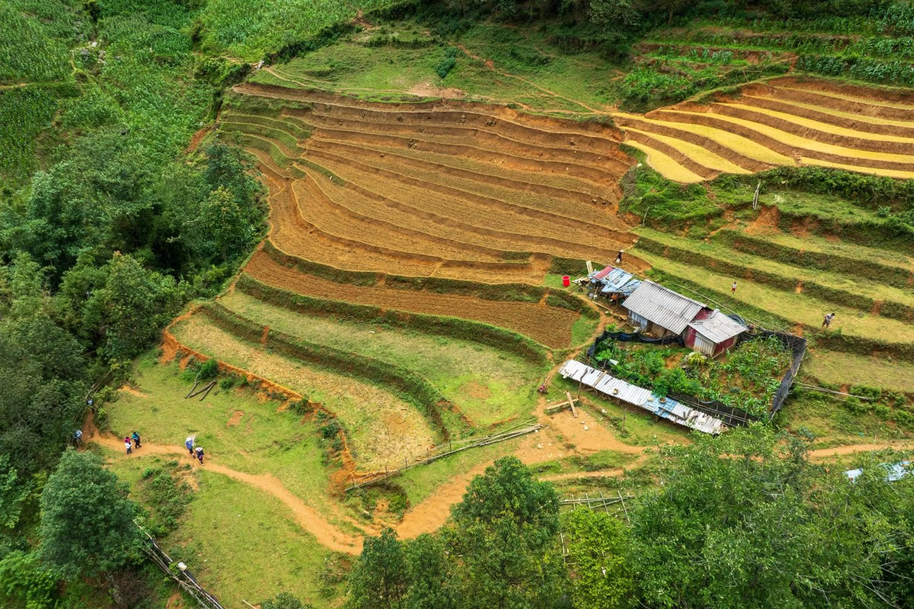 Sapa Farmstay