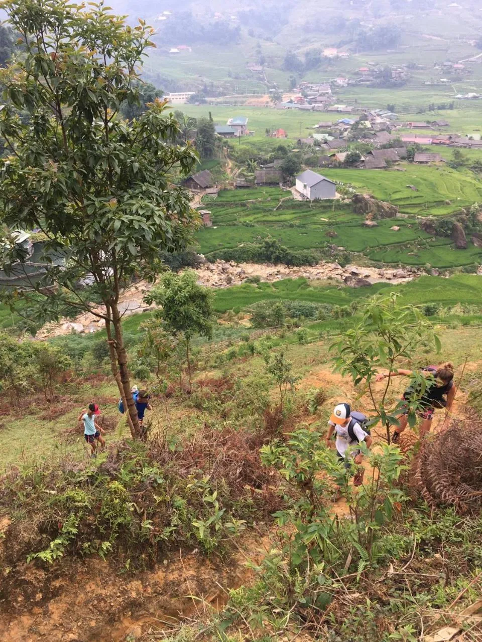 Hiking in Sapa Farmstay