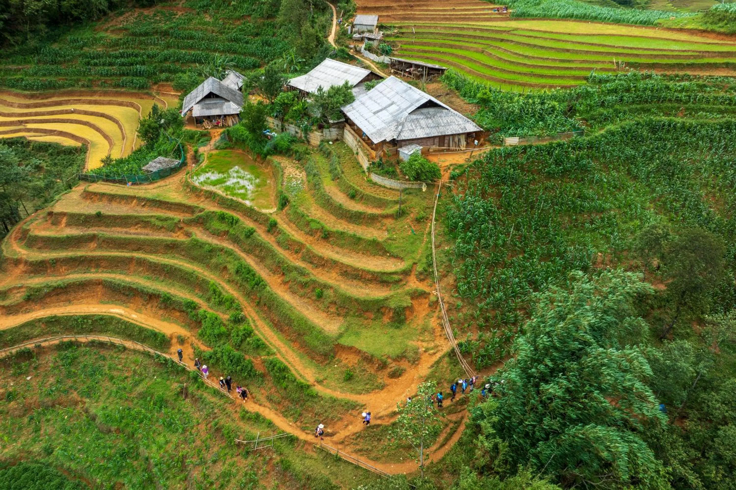 Sapa Farmstay